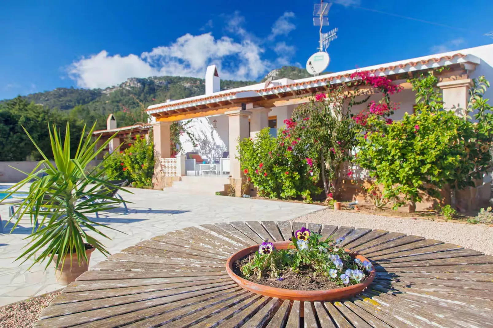 Casa Estrella - Tuinen zomer