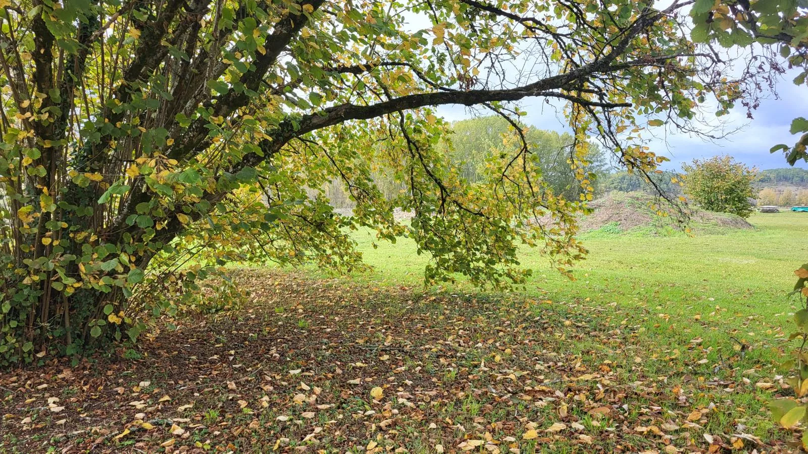 Maison des Prairies - Tuinen zomer