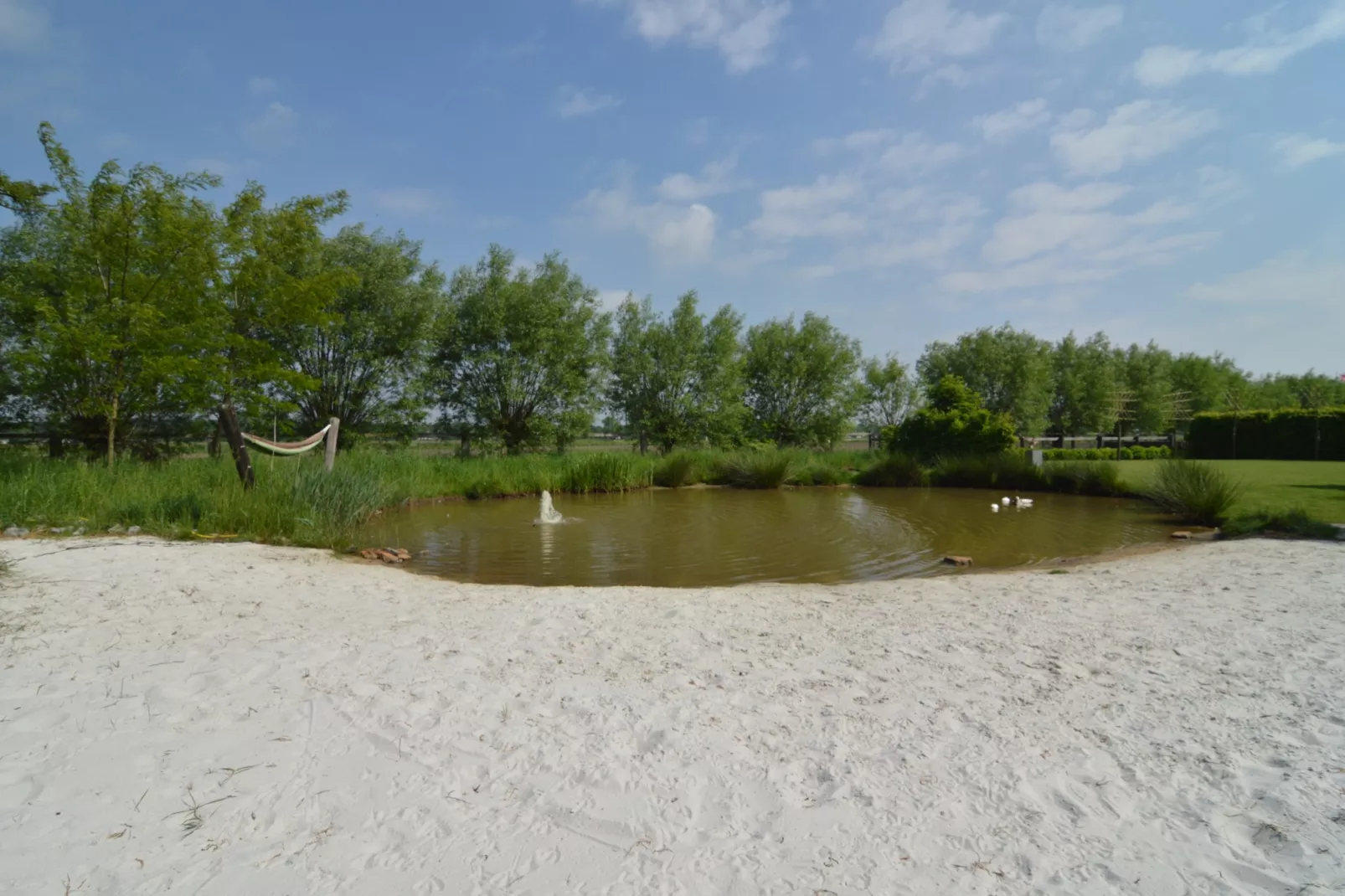 Ganzenweelde - Tuinen zomer