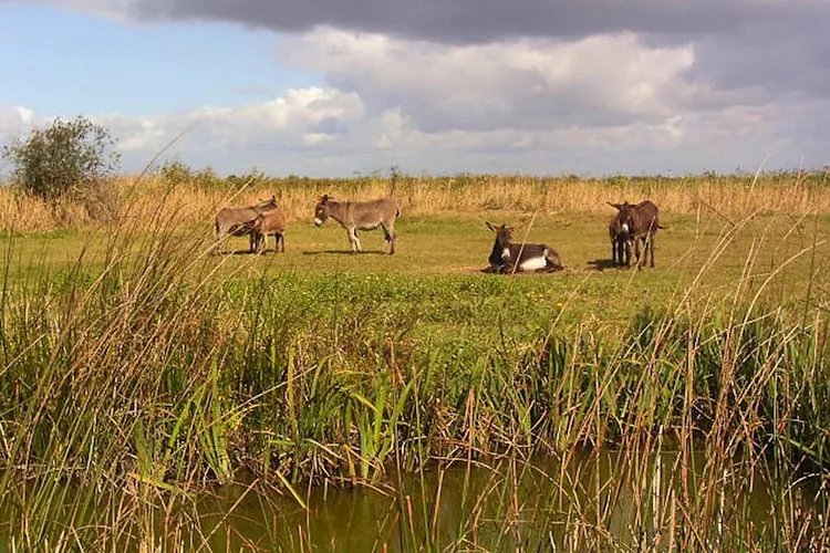 Holiday home Les Sables d´Olonne - Uitzicht zomer