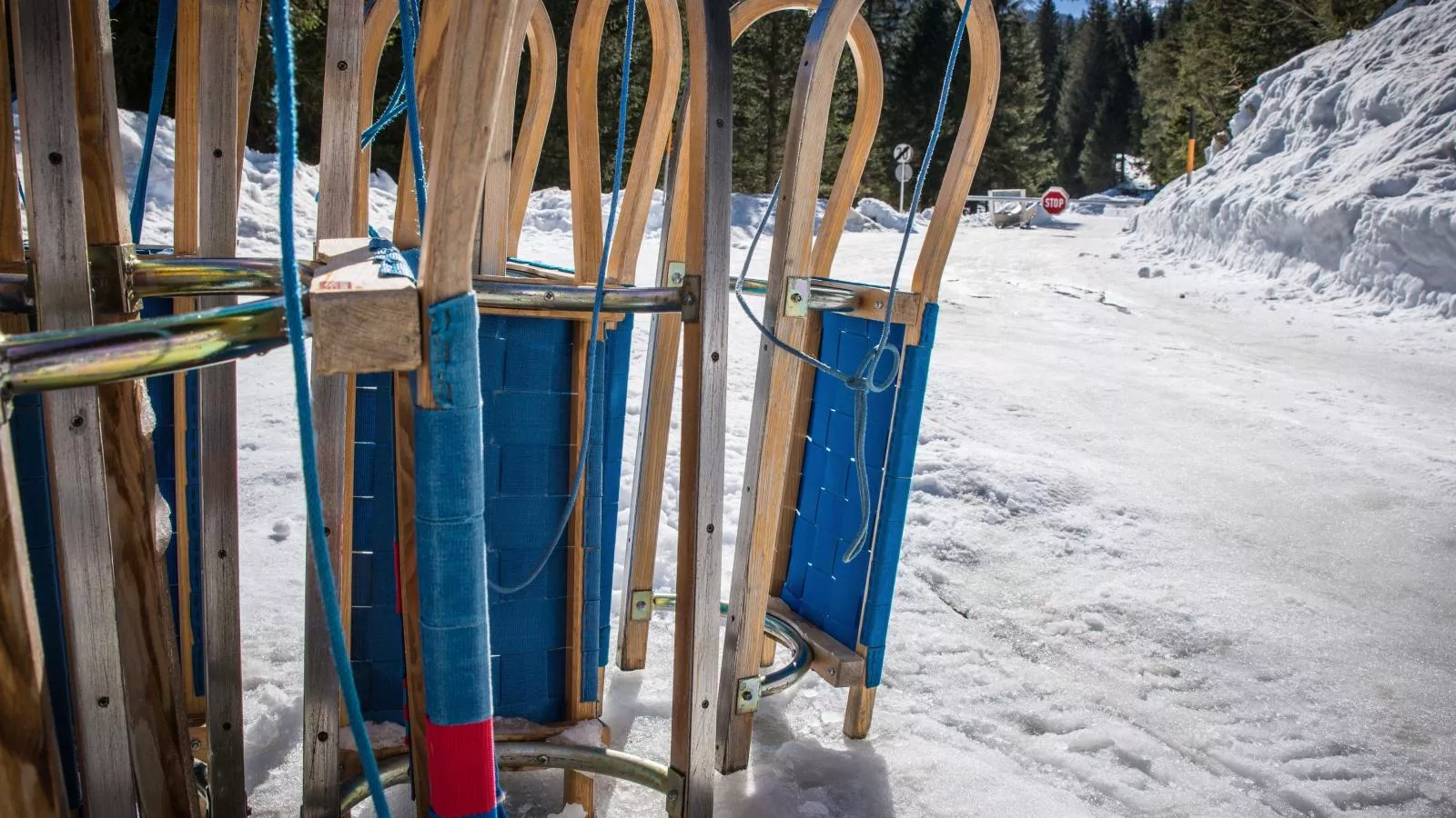 Barney - Gebied winter 1km