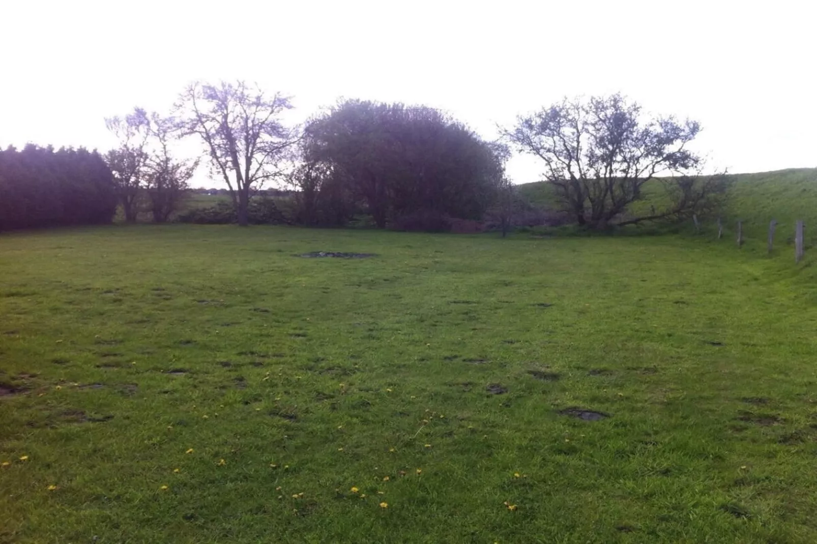 112041-Gebieden zomer 1km