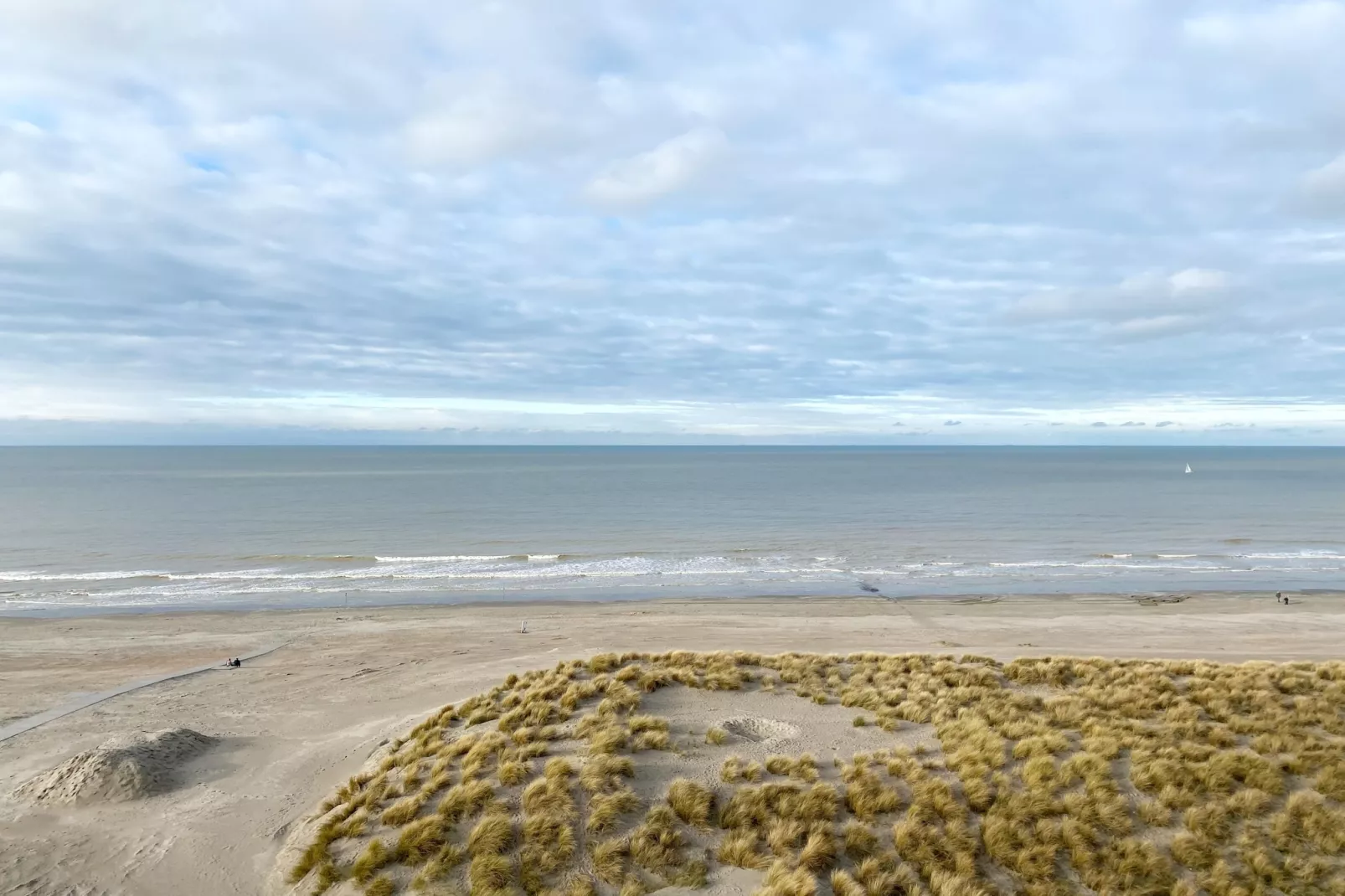SUNFLOWER 0705GAR-Gebieden zomer 1km