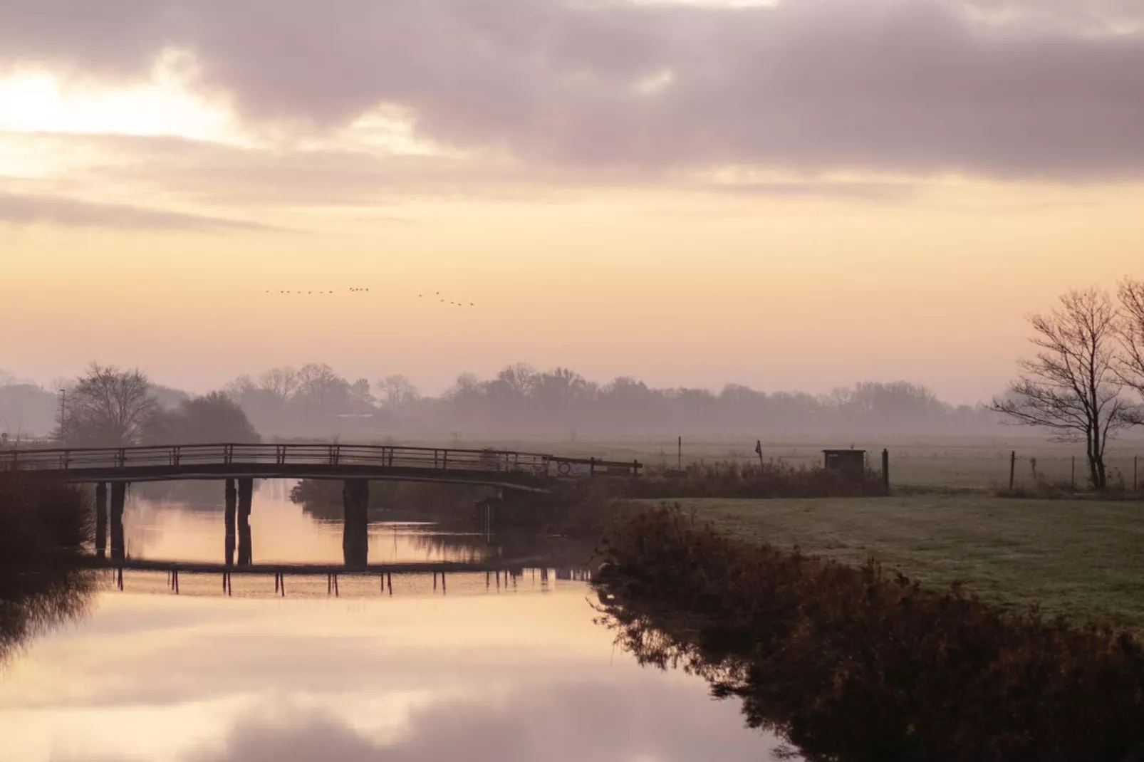 467005-Gebieden zomer 5km