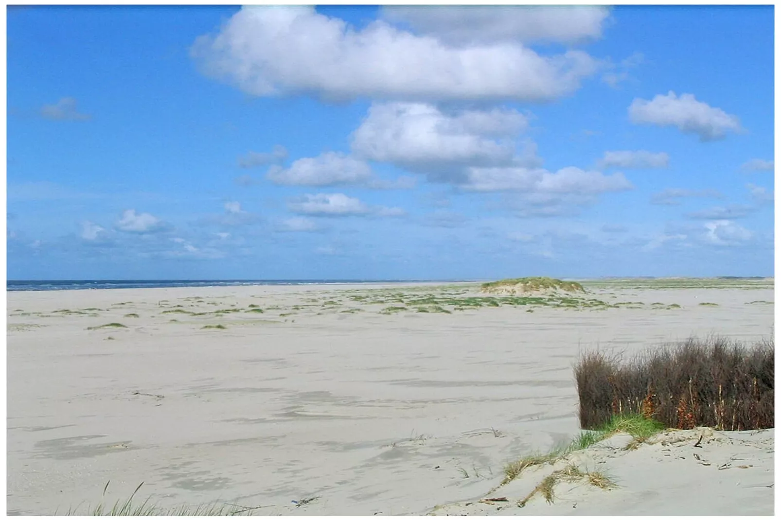 300329-Gebieden zomer 5km