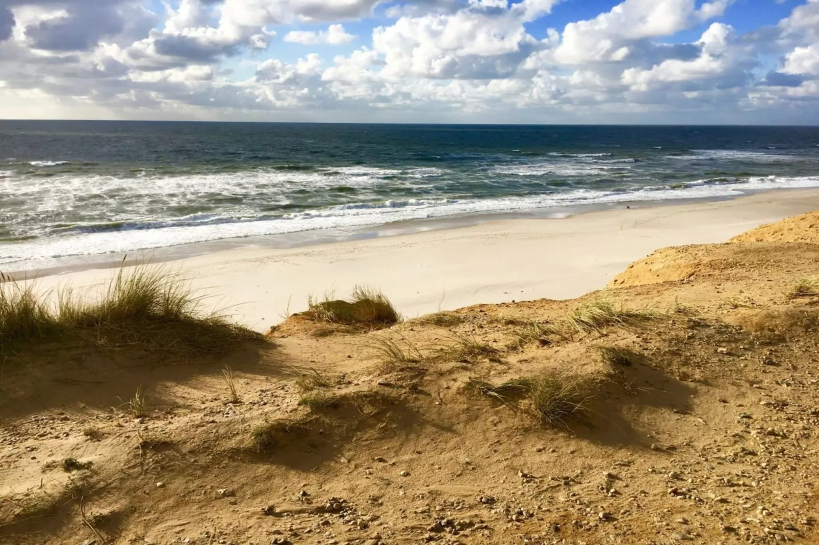 139423-Gebieden zomer 5km