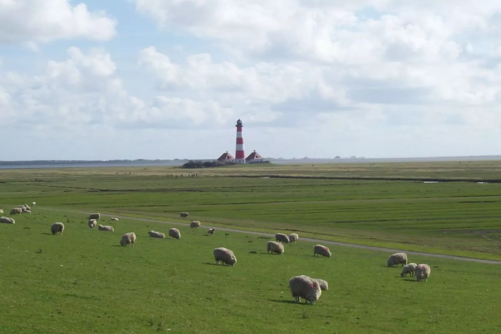 9376-Buitenkant zomer