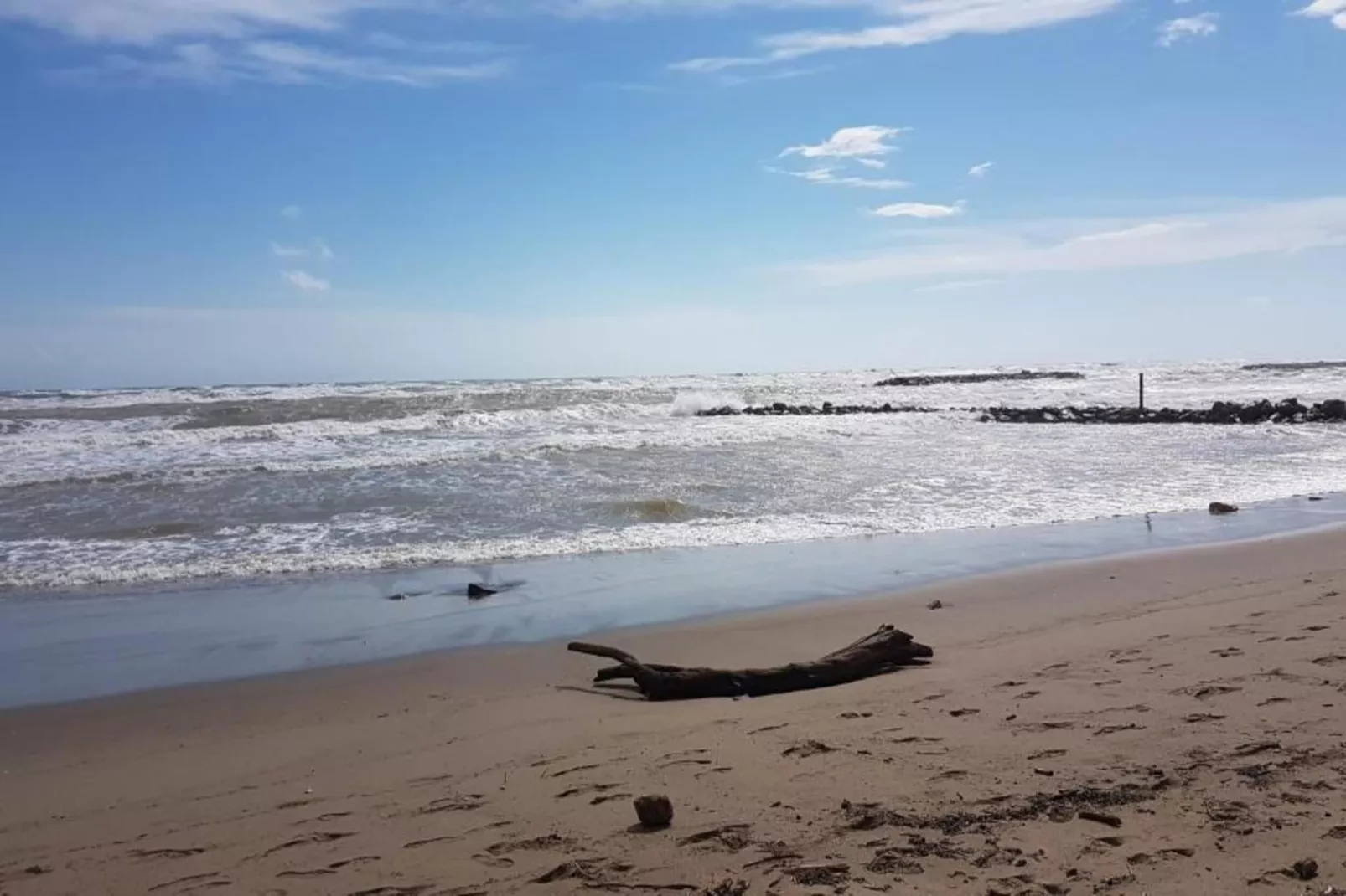 La Dune N°53 - Villa 3P6 - Gebieden zomer 1km