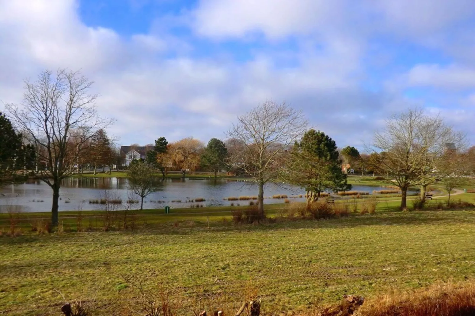 130312-Gebieden zomer 1km