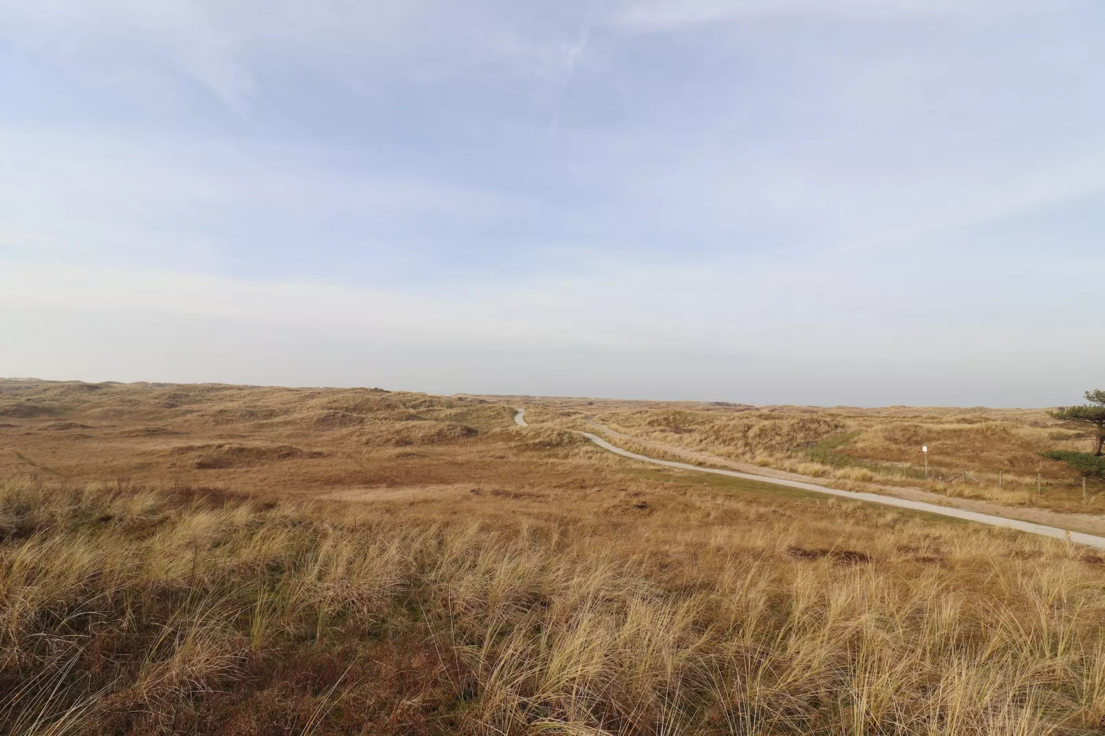 Duinchalet Ameland-Gebied winter 1km