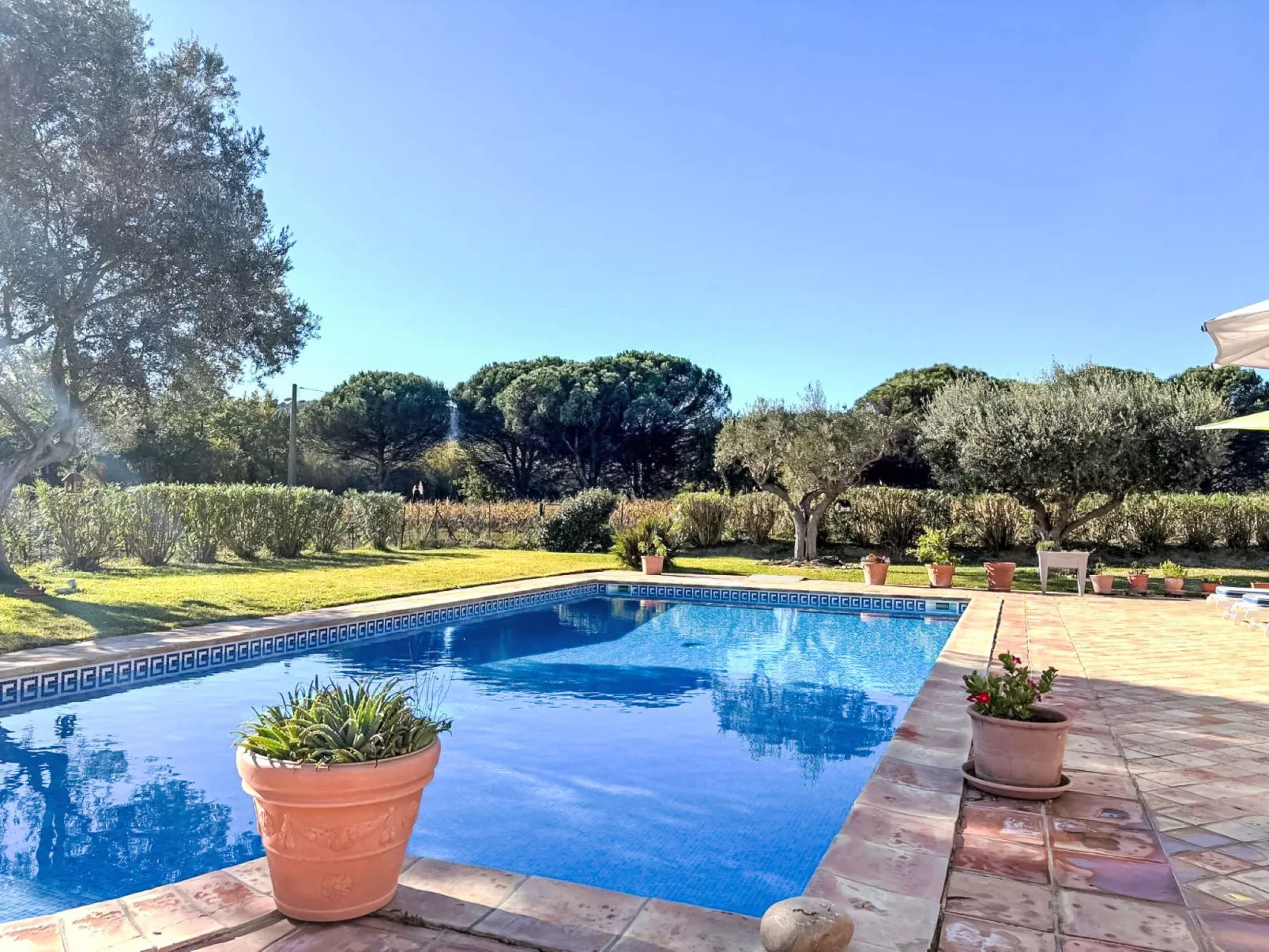 Le Grand Pin - Buiten