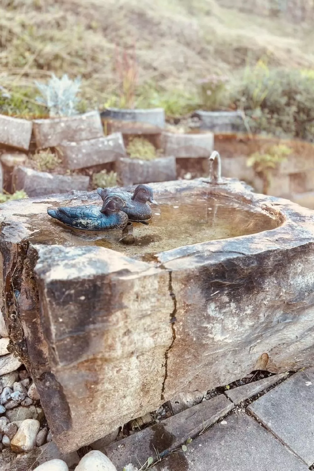 Alpaka-Ferienhaus Oenzlen - Image-tags.info