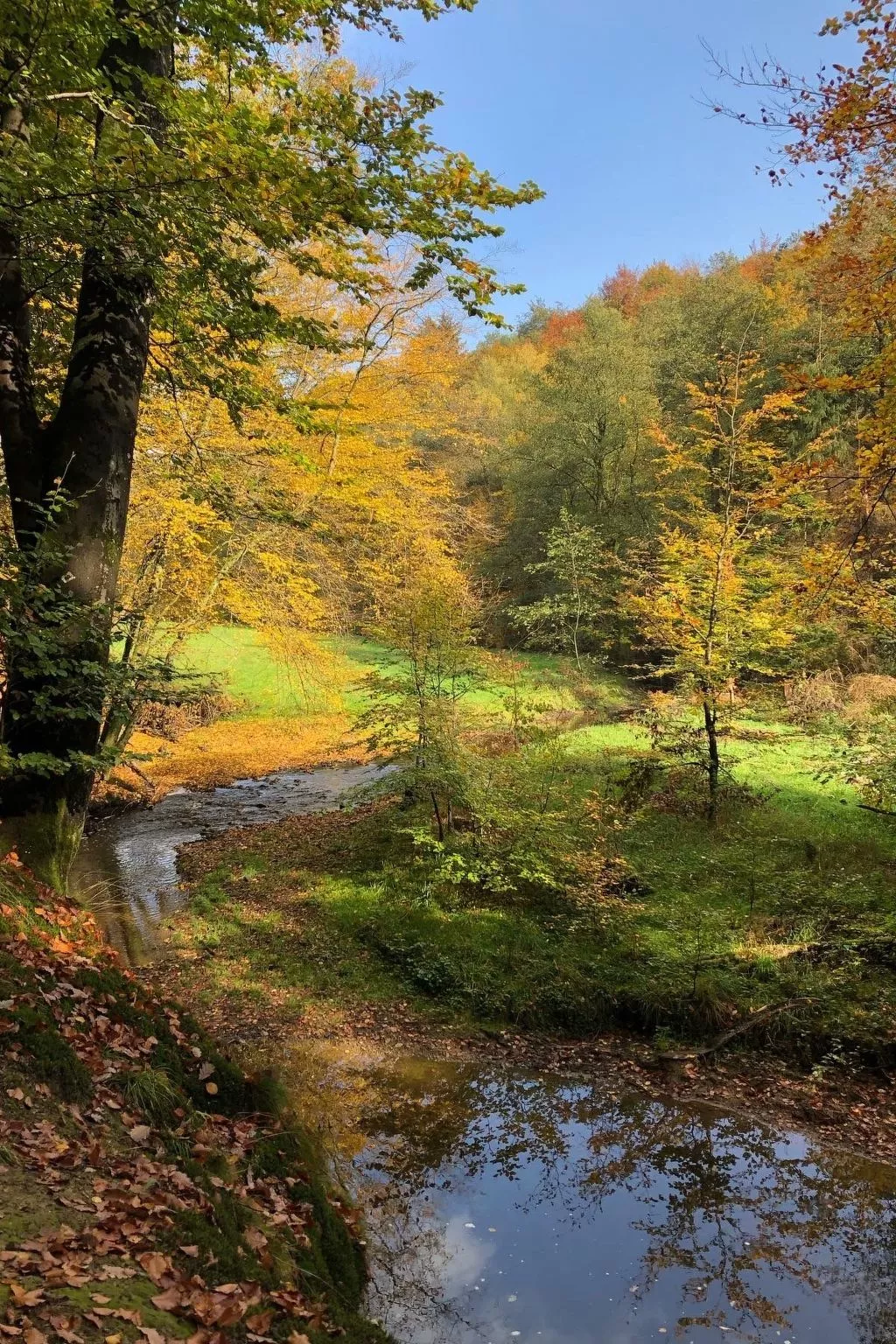 Urbane Remise - Image-tags.info