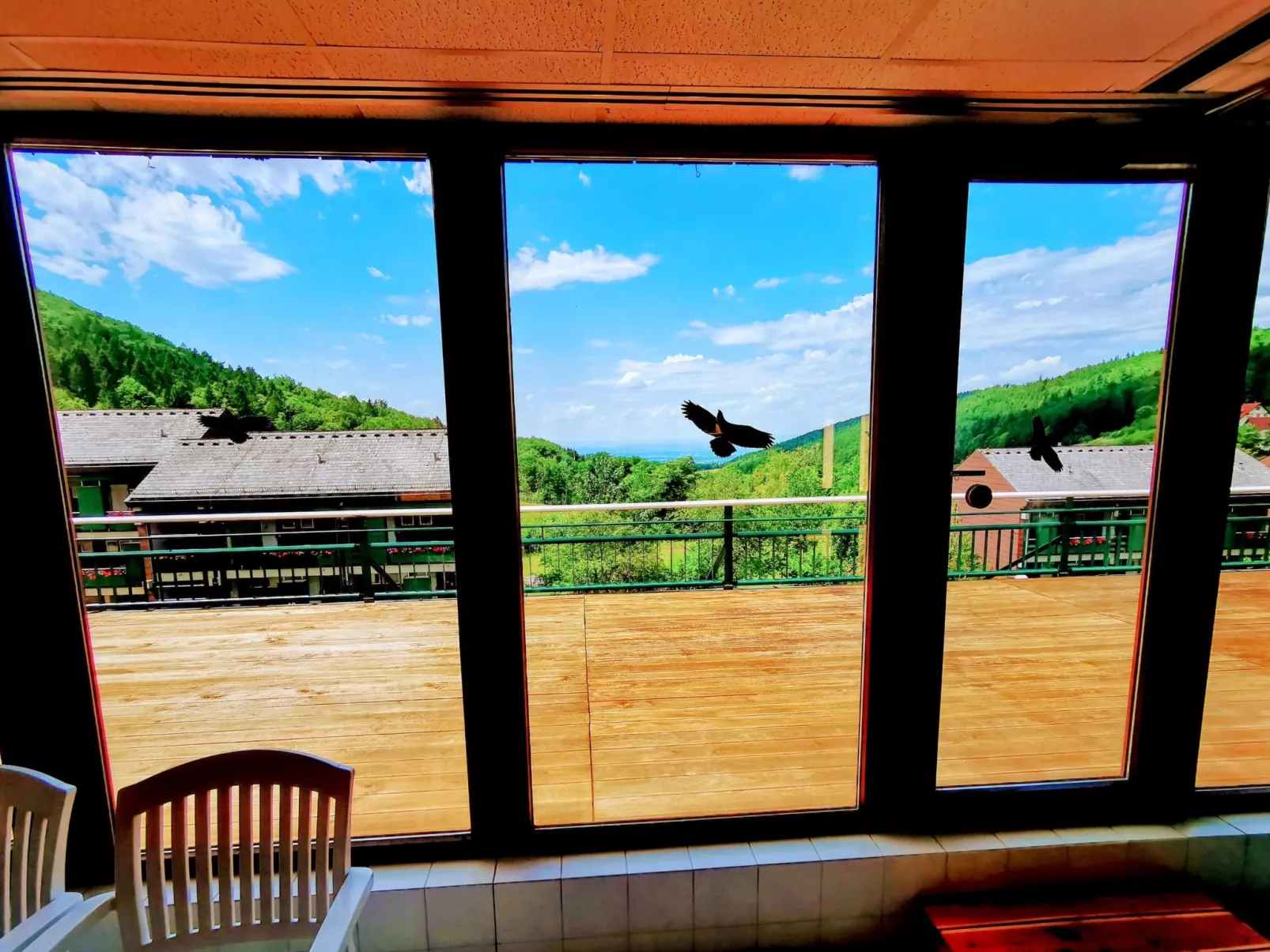 Schwarzwald Loft mit Schwimmbad und herrlicher Aussicht - Image-tags.info