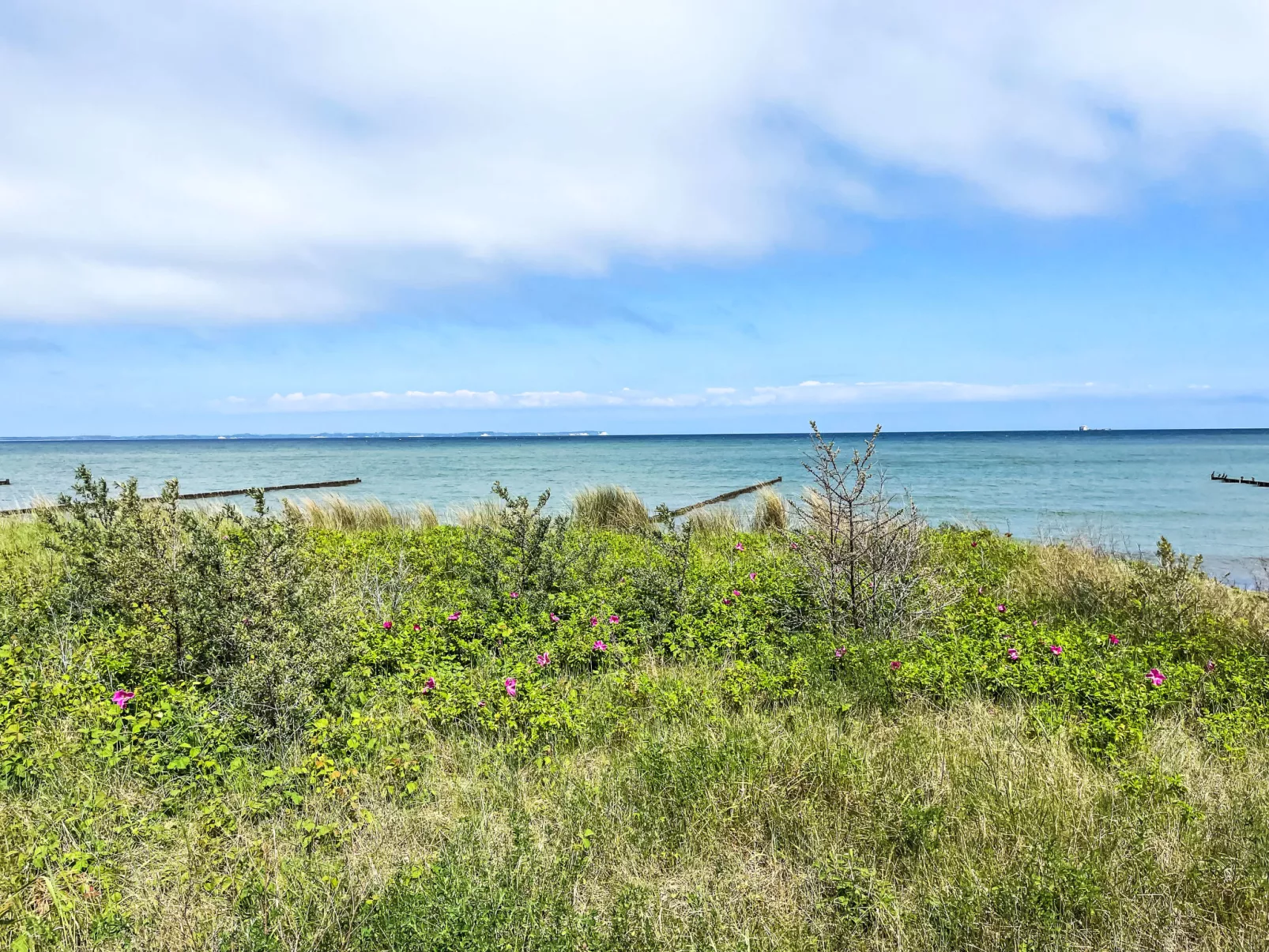 Strandnahe Ferienwohnung Lehrer Lämpel Nr. 1 - Omgeving