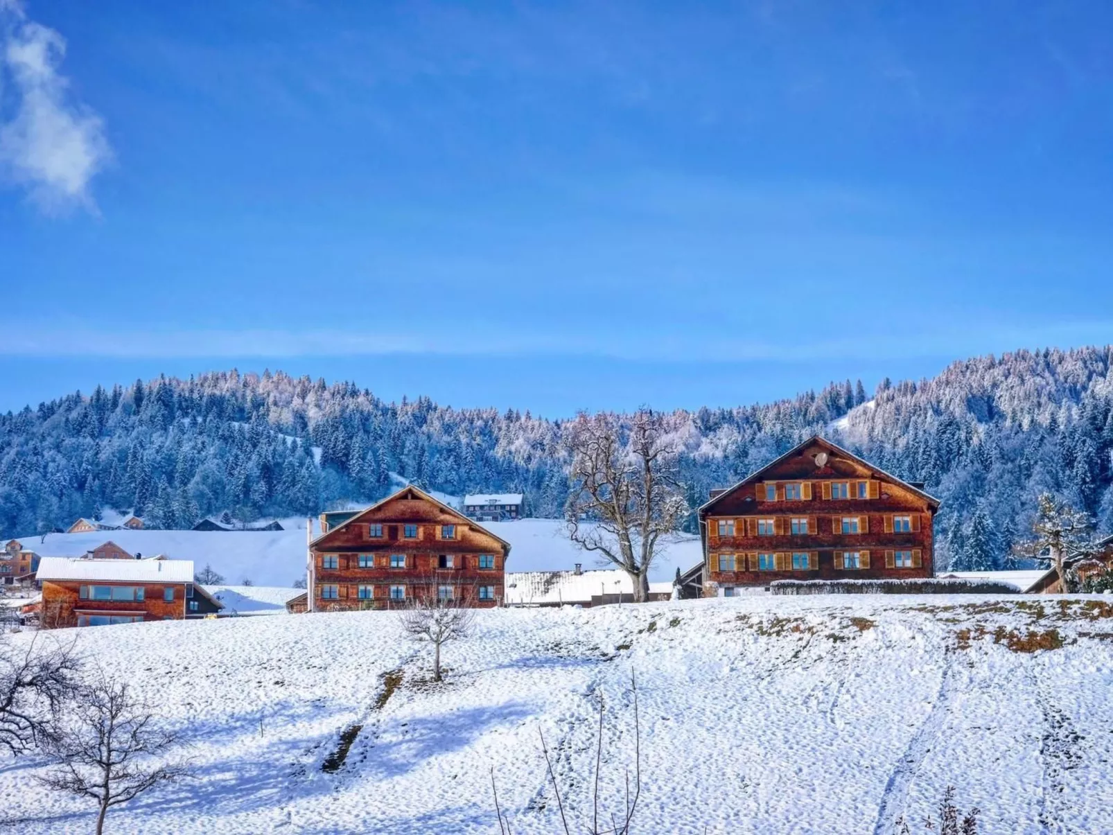 Liebevoll sanierte Wohnung in einem alten Bregenzerwälderhaus - Image-tags.info