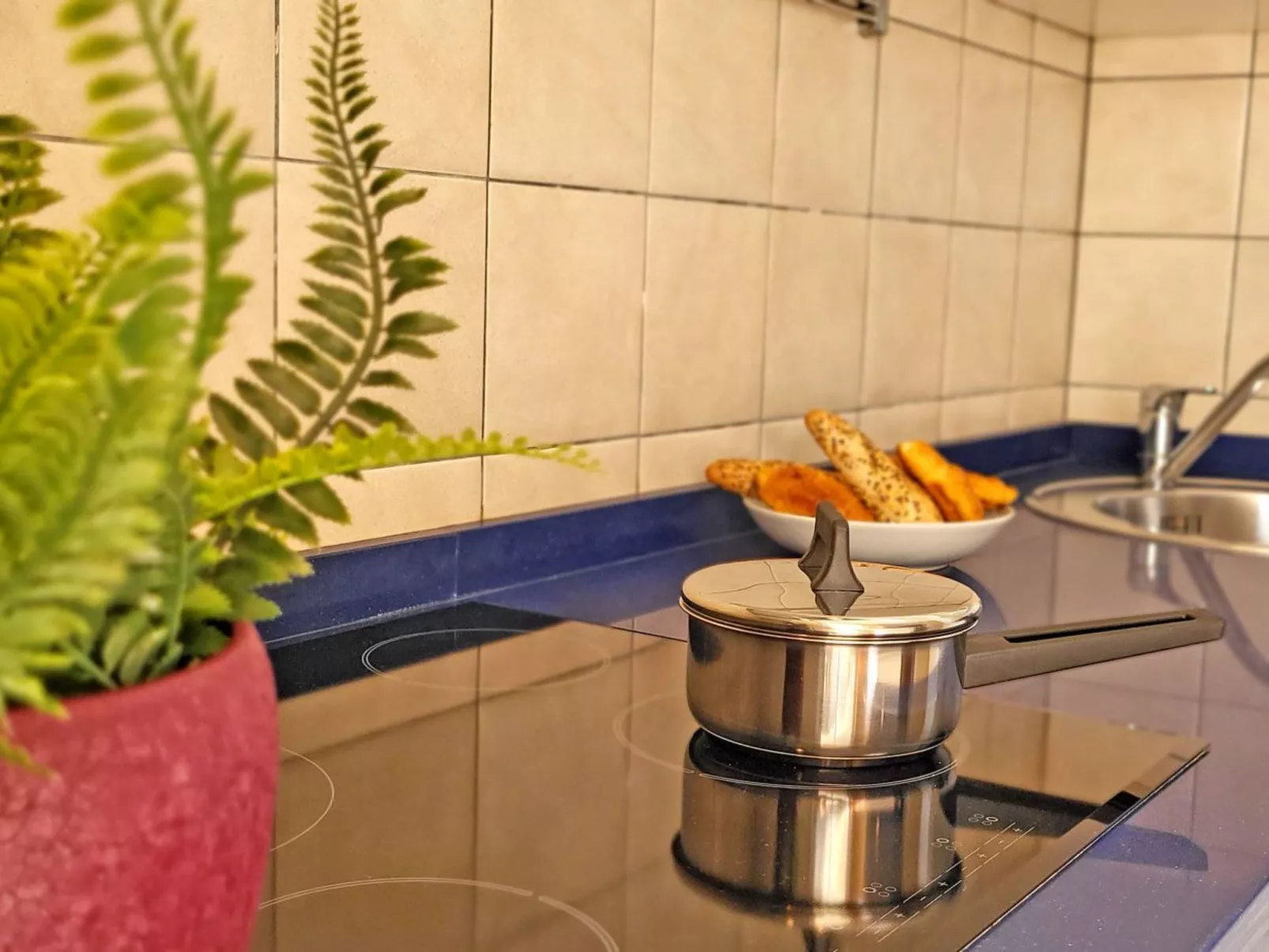 Janida Dream - Image-tags.info