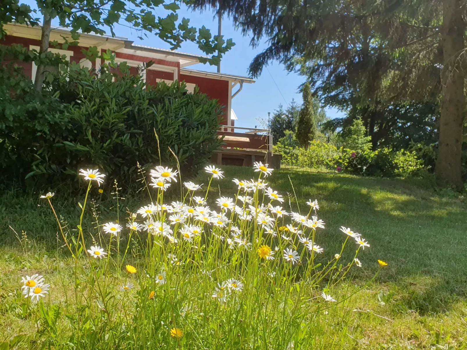 Beerberg - Image-tags.info