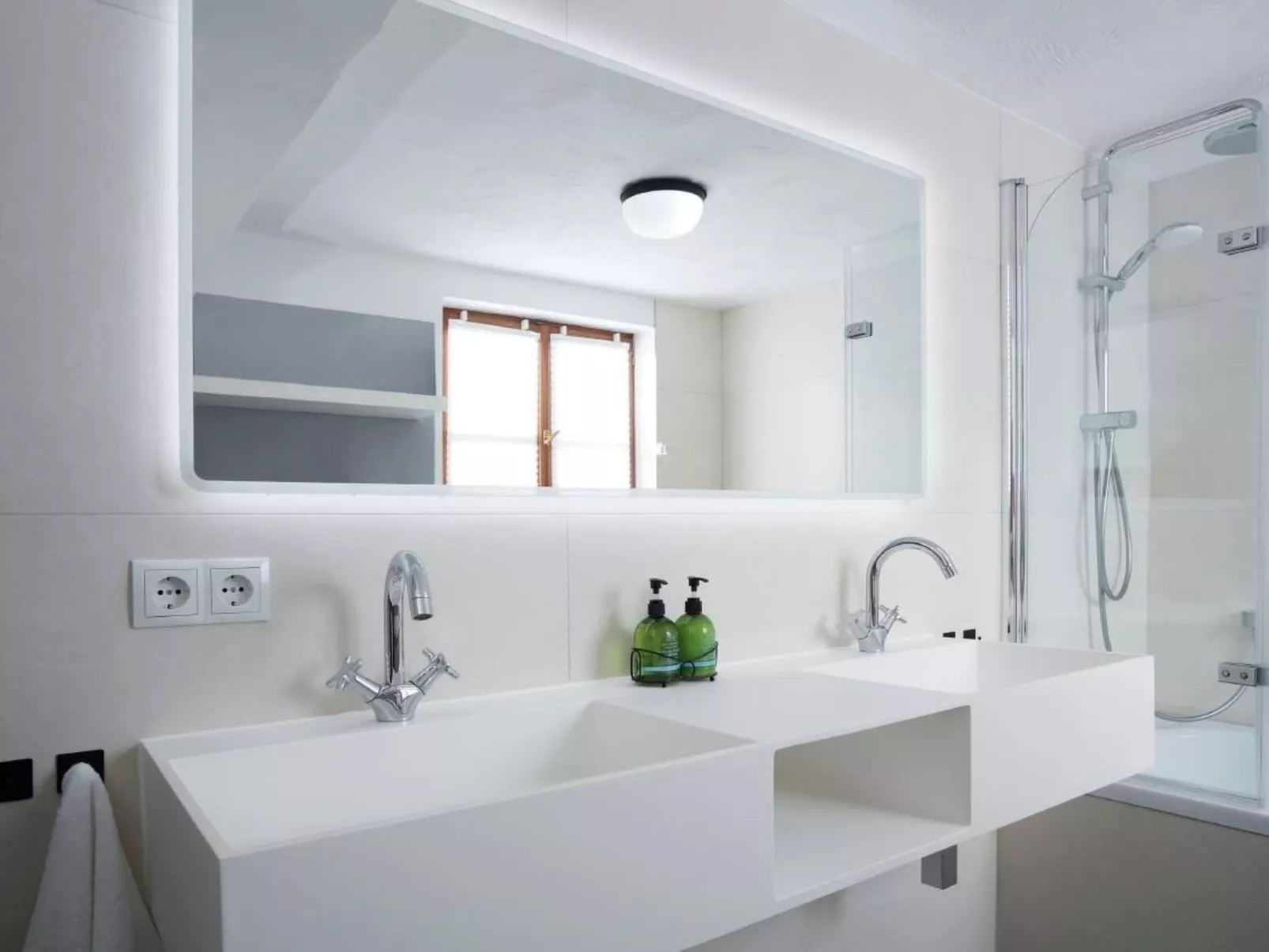 Olive Tree - Image-tags.info