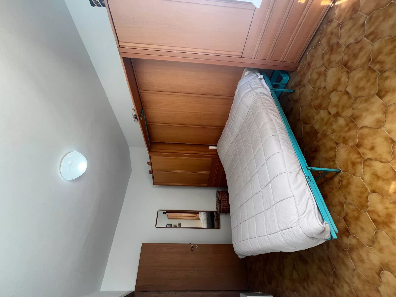 Pitosforo - Image-tags.info