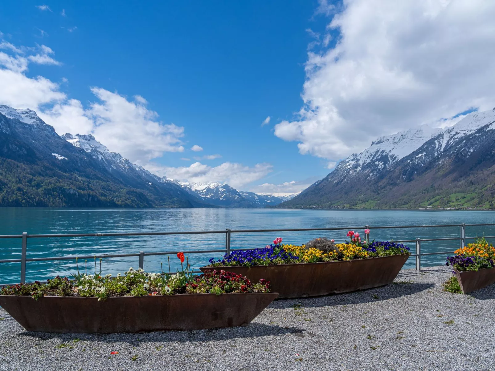 Family Apartment - Image-tags.info