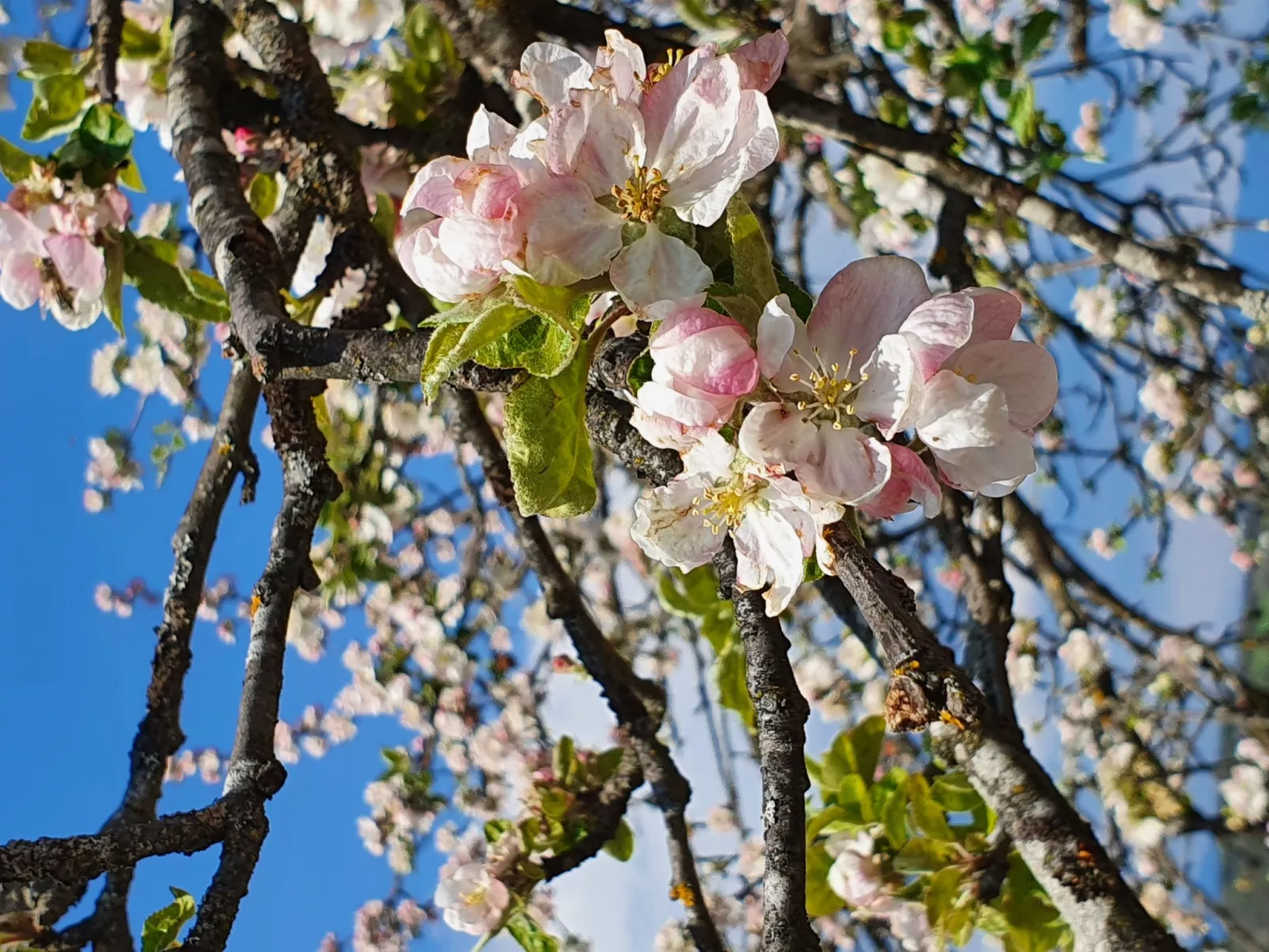 Appartement Apollo in der Wohlfühloase am Trausdorfberg mit Sauna Whirlpoolnutz-Image-tags.info