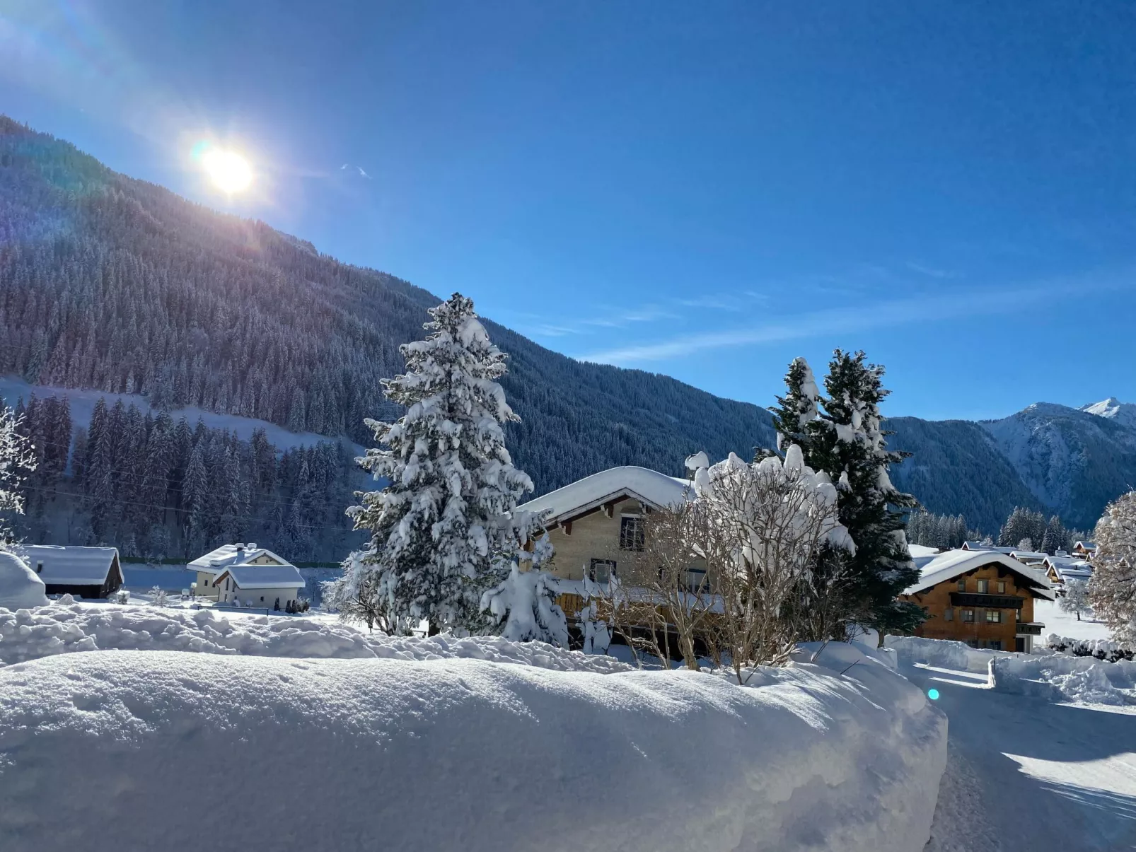 Top 5 in Dalaas - Image-tags.info