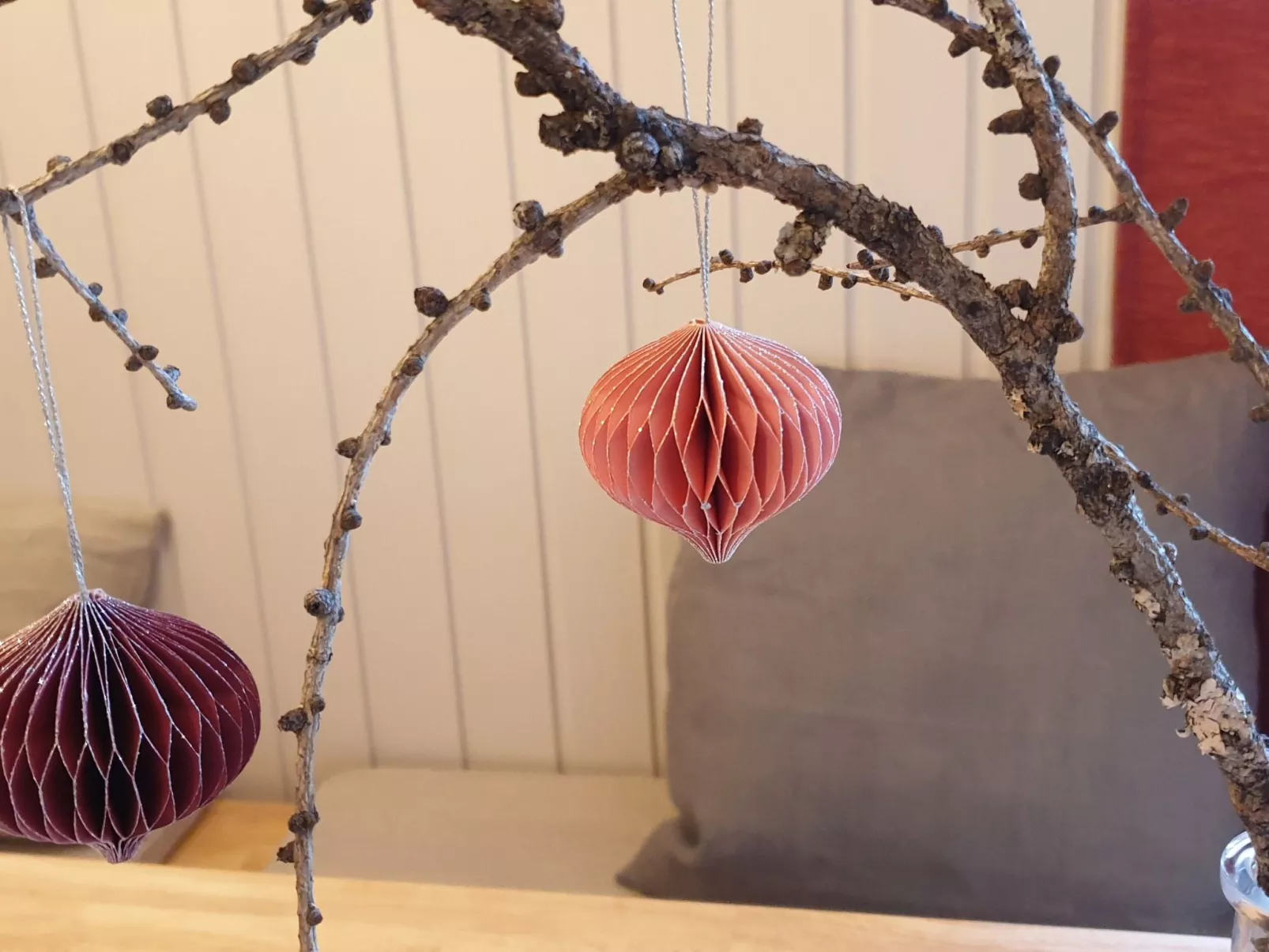 Gemütliche Wohnung in Geidorf mit Garten, Grazer Dom in der Nähe - Image-tags.info