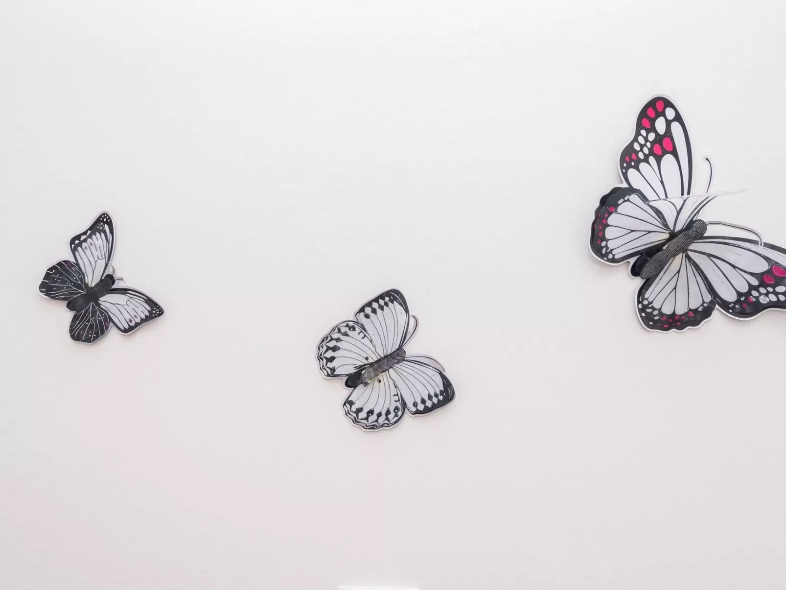 Apartement Banic - Image-tags.info