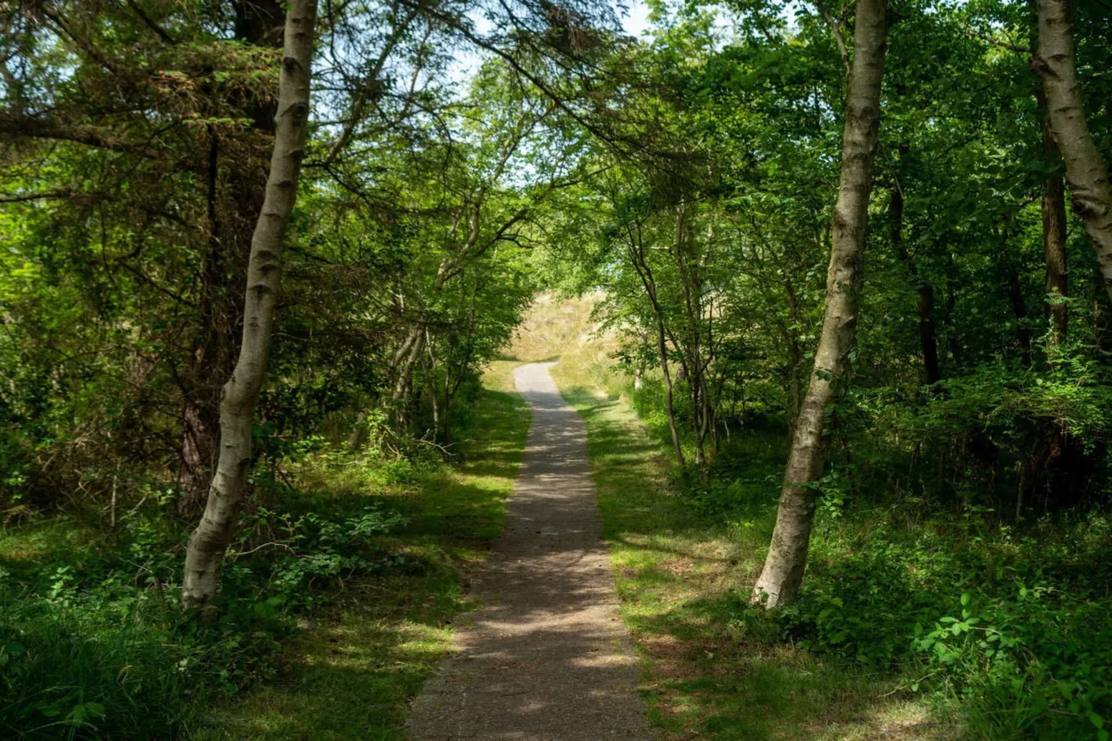 377693 - Gebieden zomer 5km