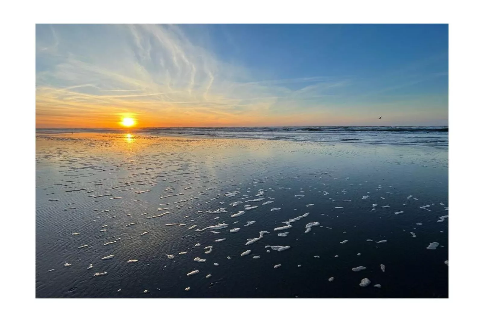 382021 - Gebieden zomer 5km