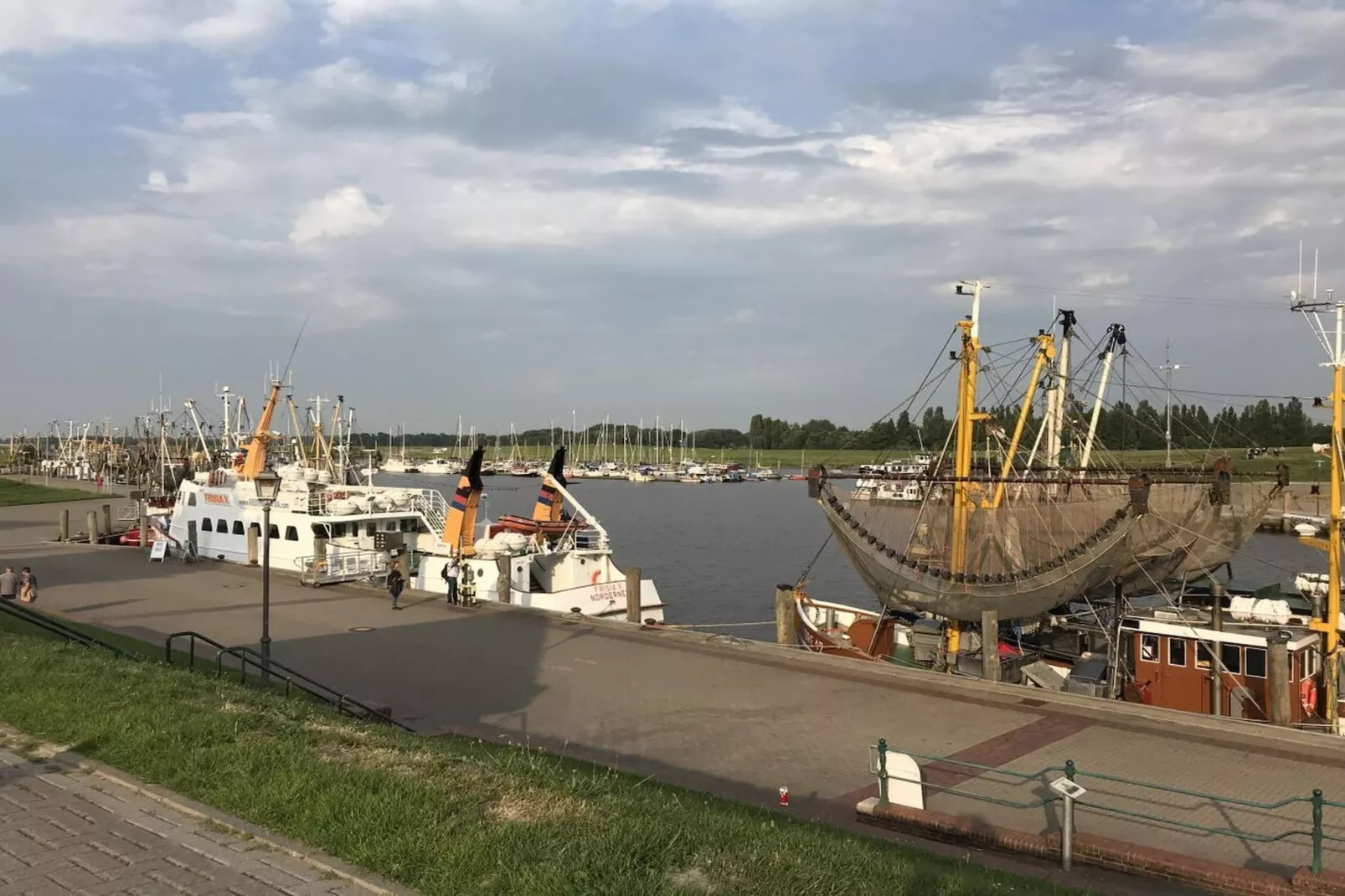 131102-Gebieden zomer 5km