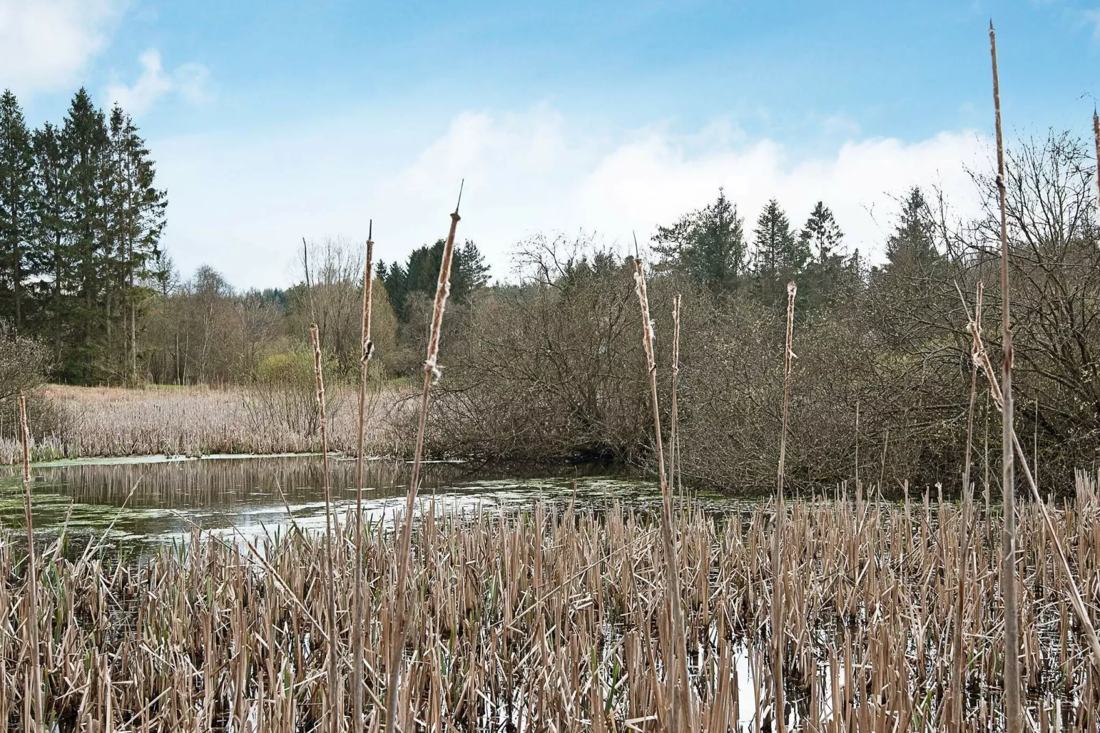 4 persoons vakantie huis in Bryrup-By Traum-Niet-getagd