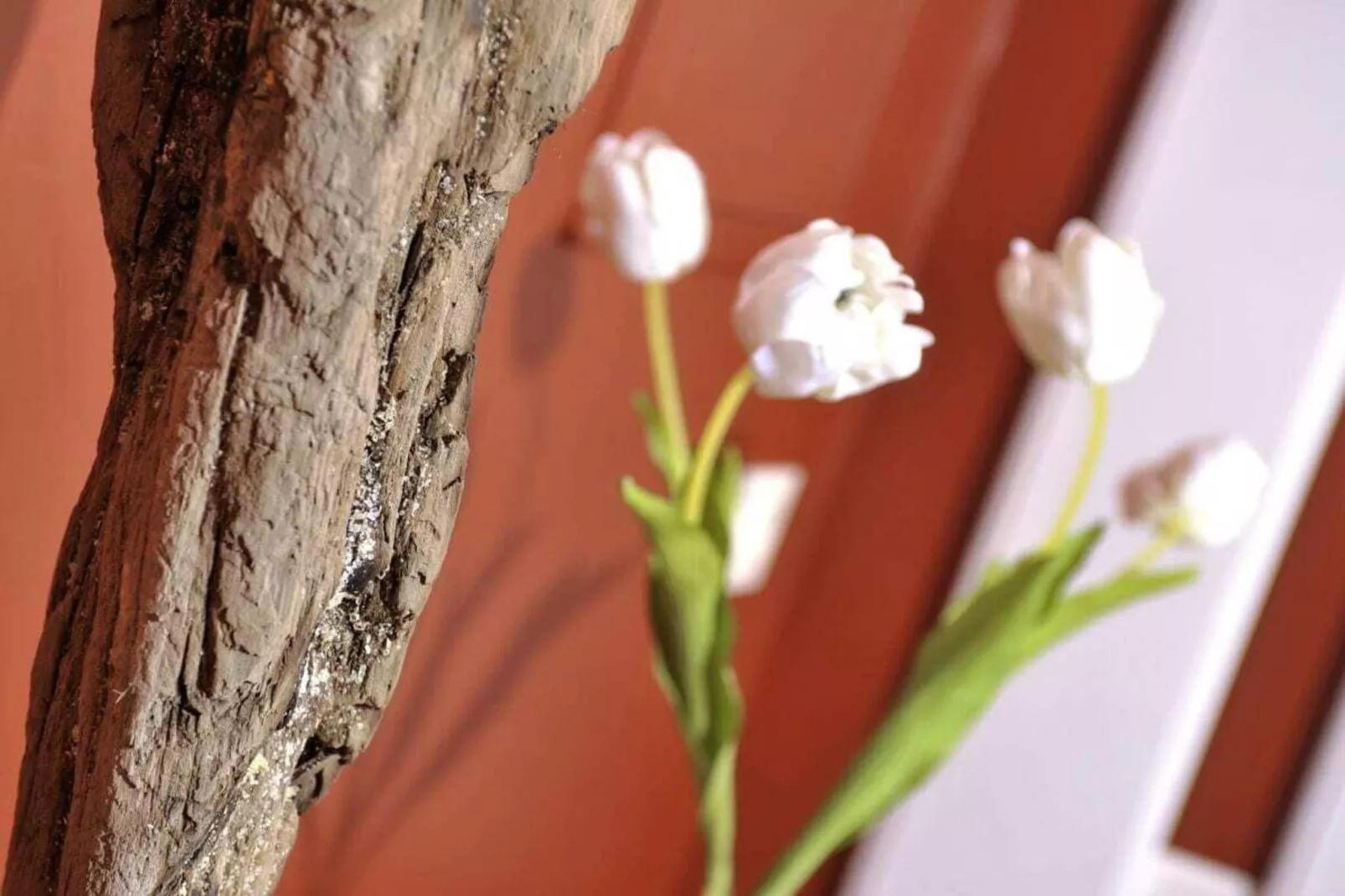 283745-Buitenkant zomer