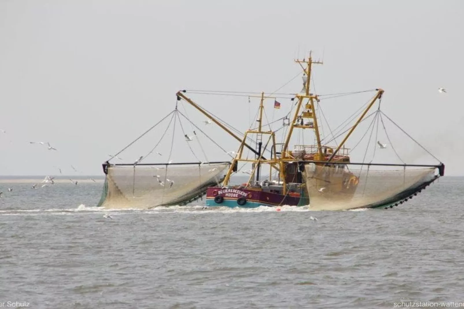 128858-Gebieden zomer 5km