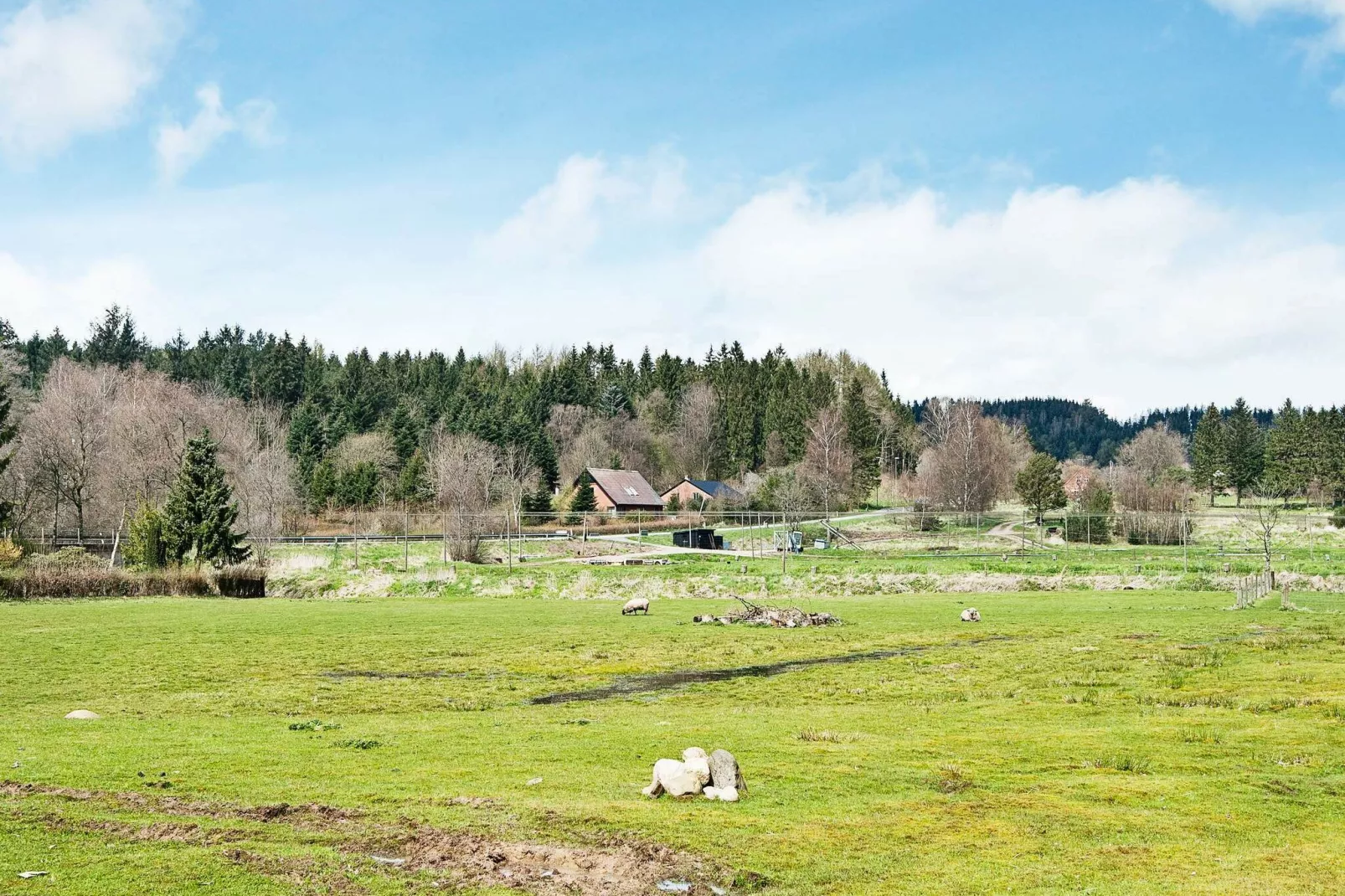 4 persoons vakantie huis in Bryrup-By Traum-Niet-getagd