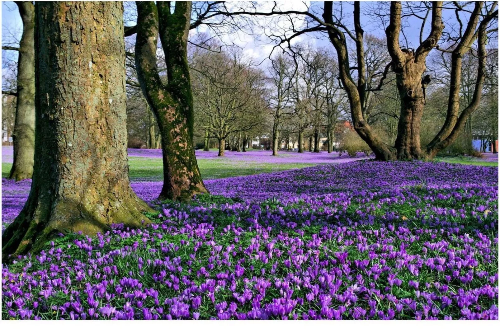 604282 - Gebieden zomer 1km