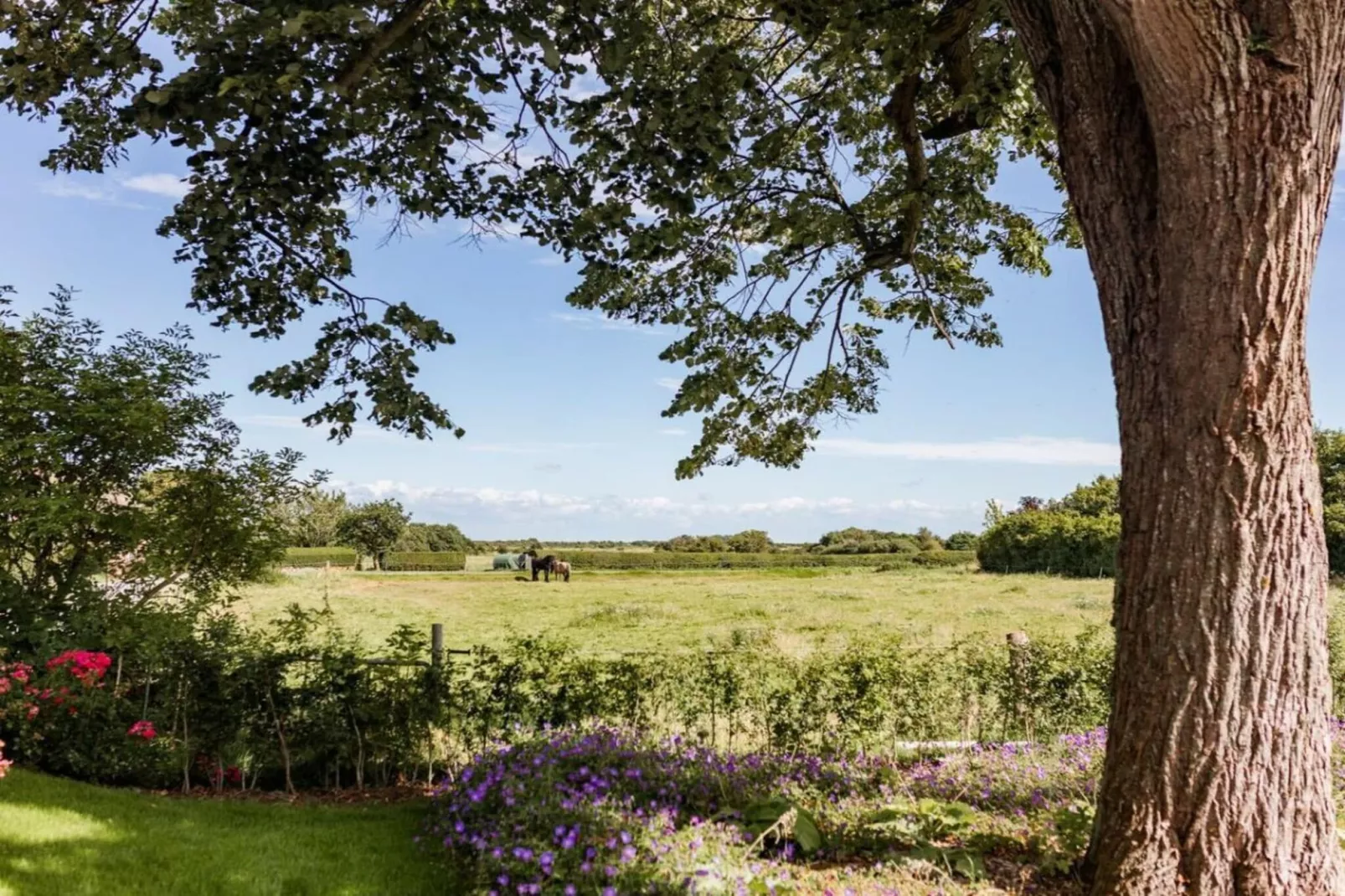 614005 - Tuinen zomer