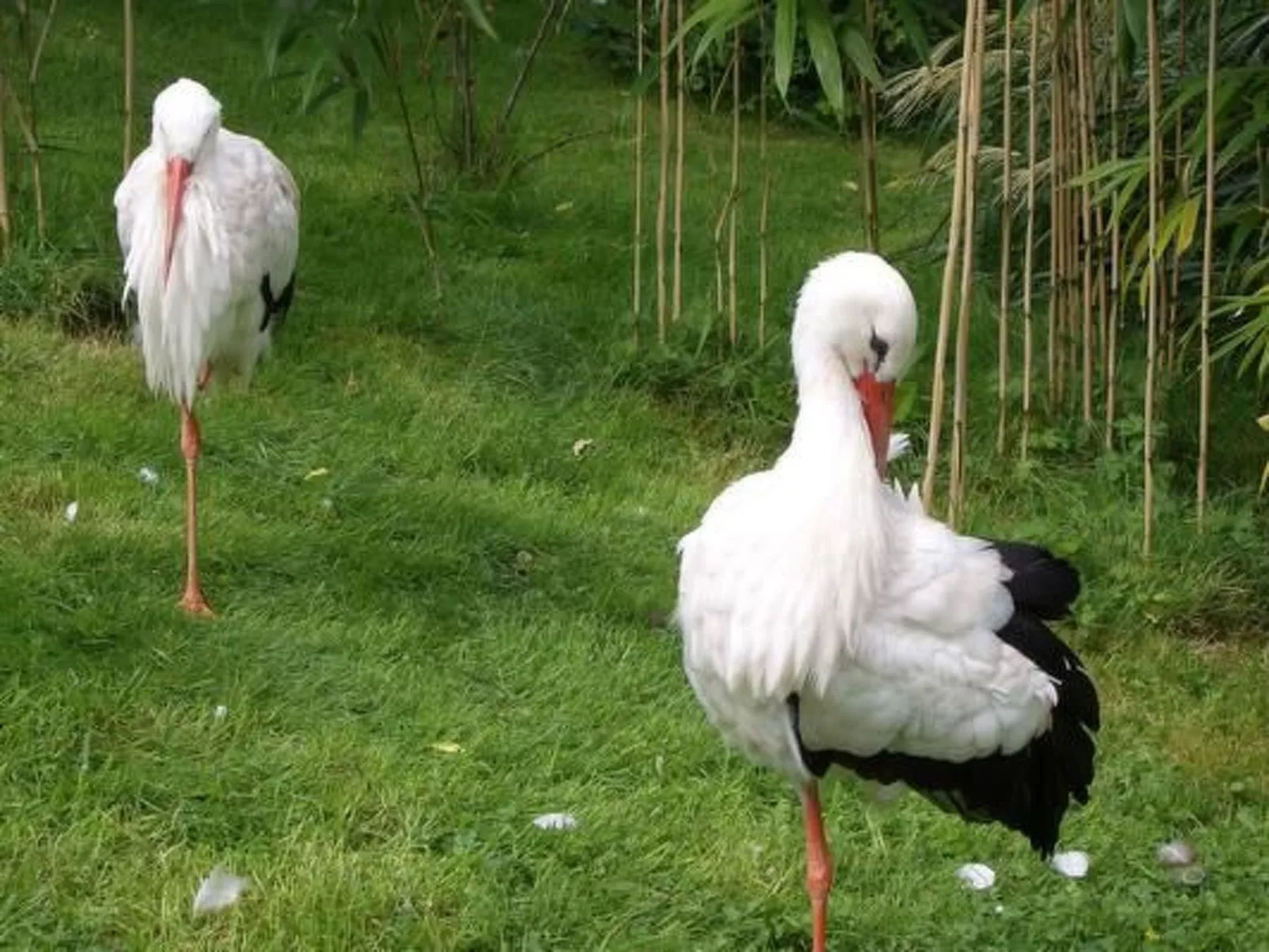 Haus Seehund - Image-tags.info