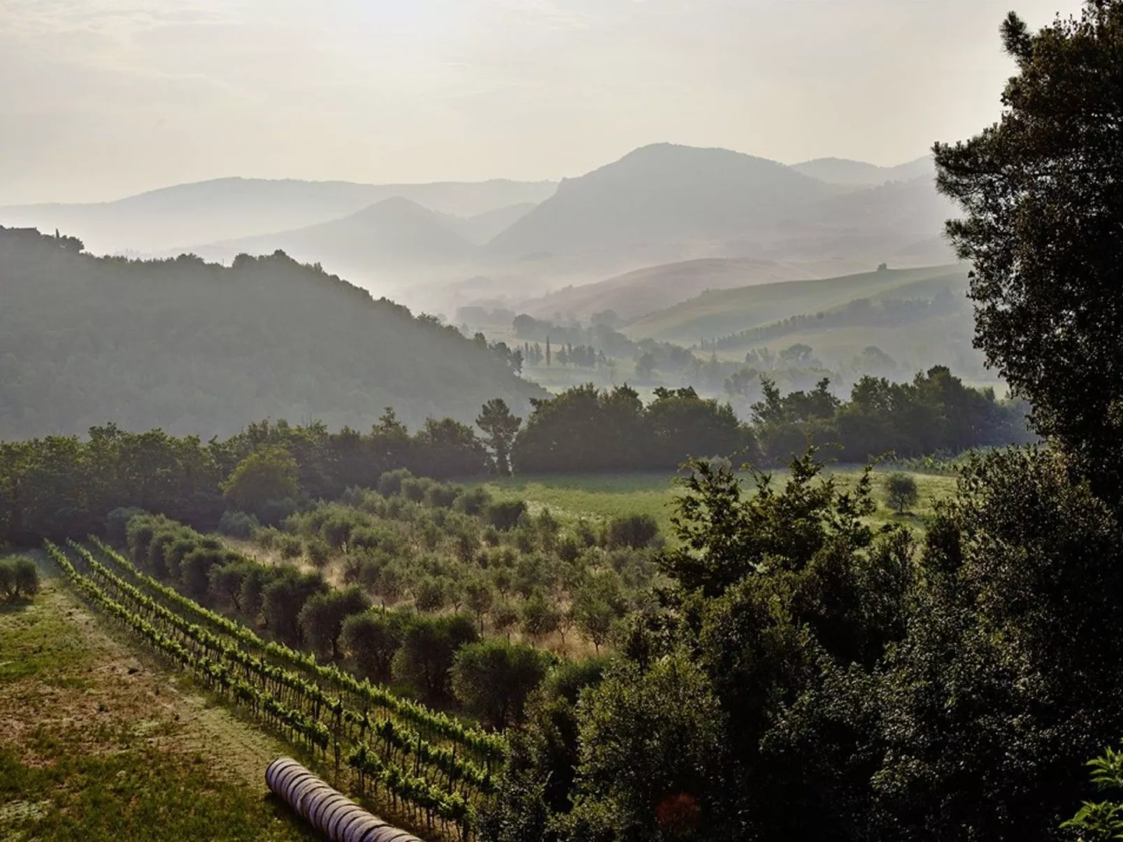 La Torre - Image-tags.info