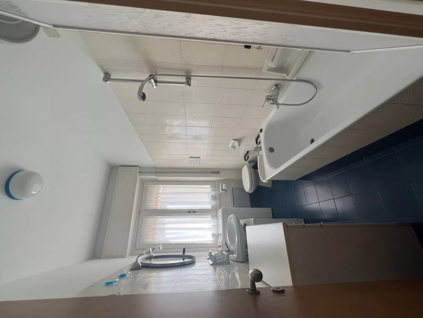 Pitosforo - Image-tags.info