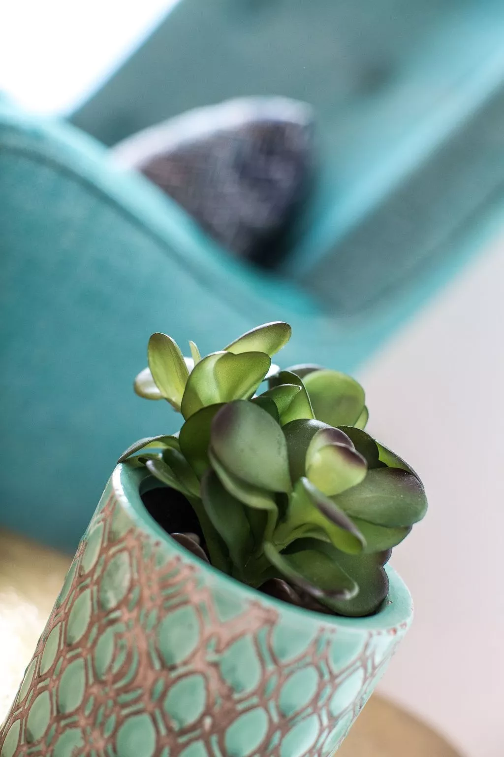 Pfänder - Image-tags.info