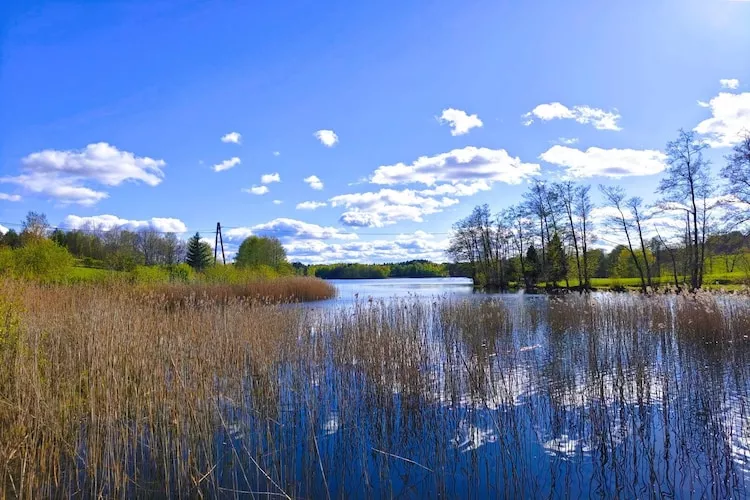 Apartments Rekowo 30 qm - Gebieden zomer 1km