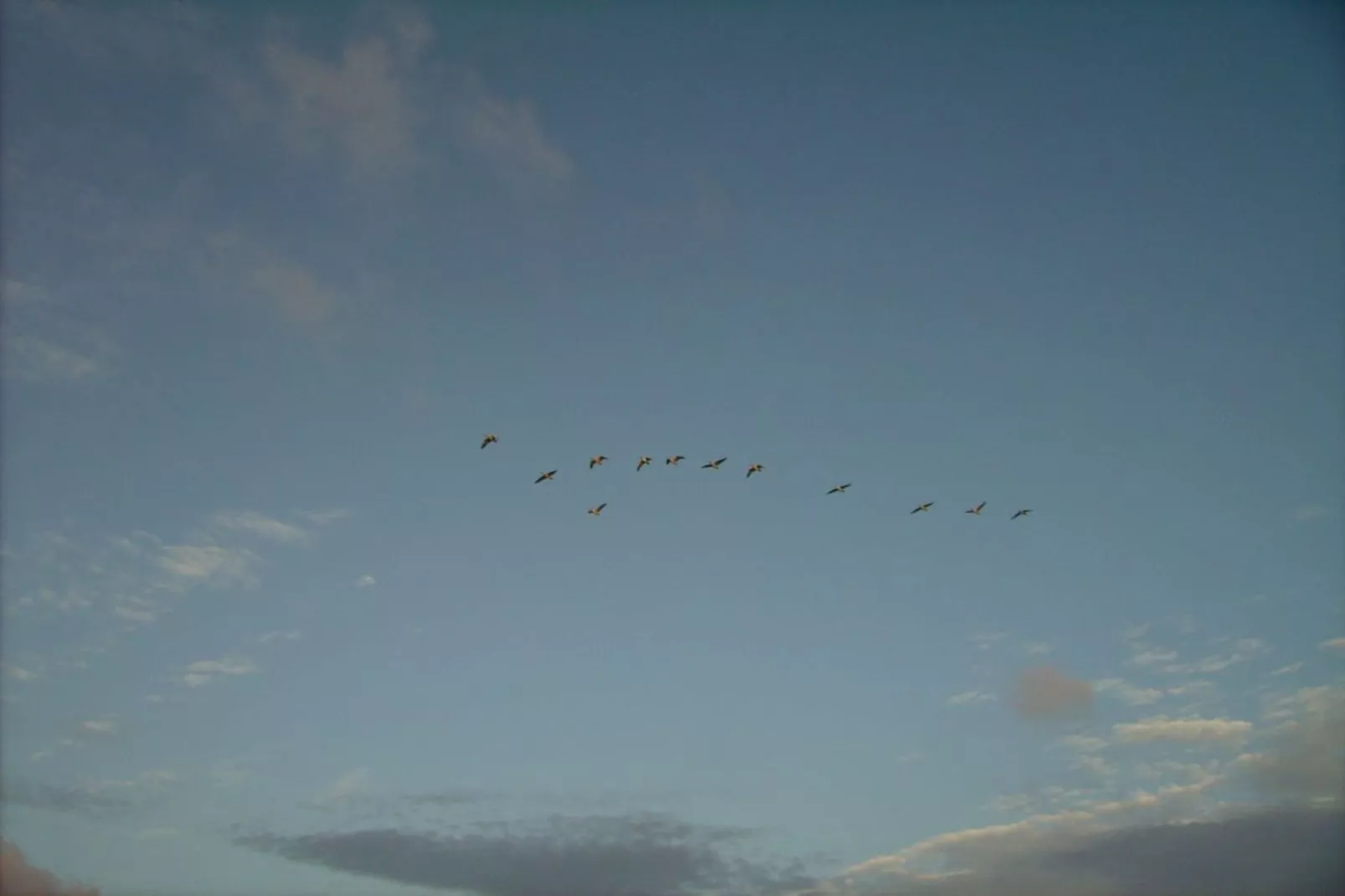 94443 - Image-tags.water view