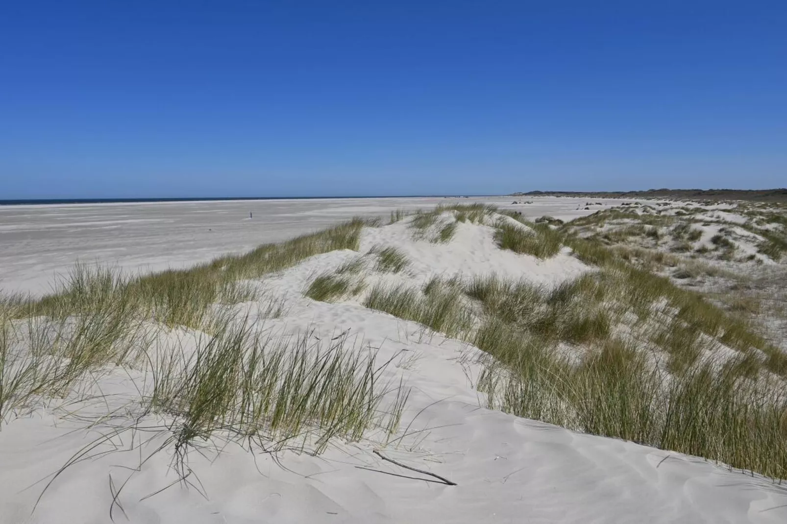 393474-Gebieden zomer 5km