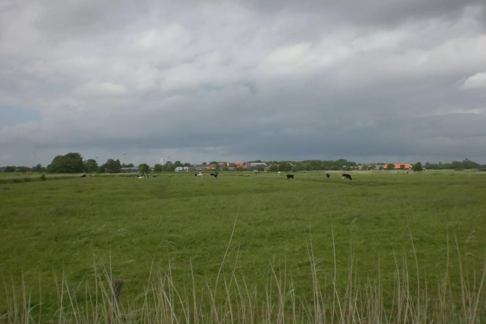 97432-Gebieden zomer 5km