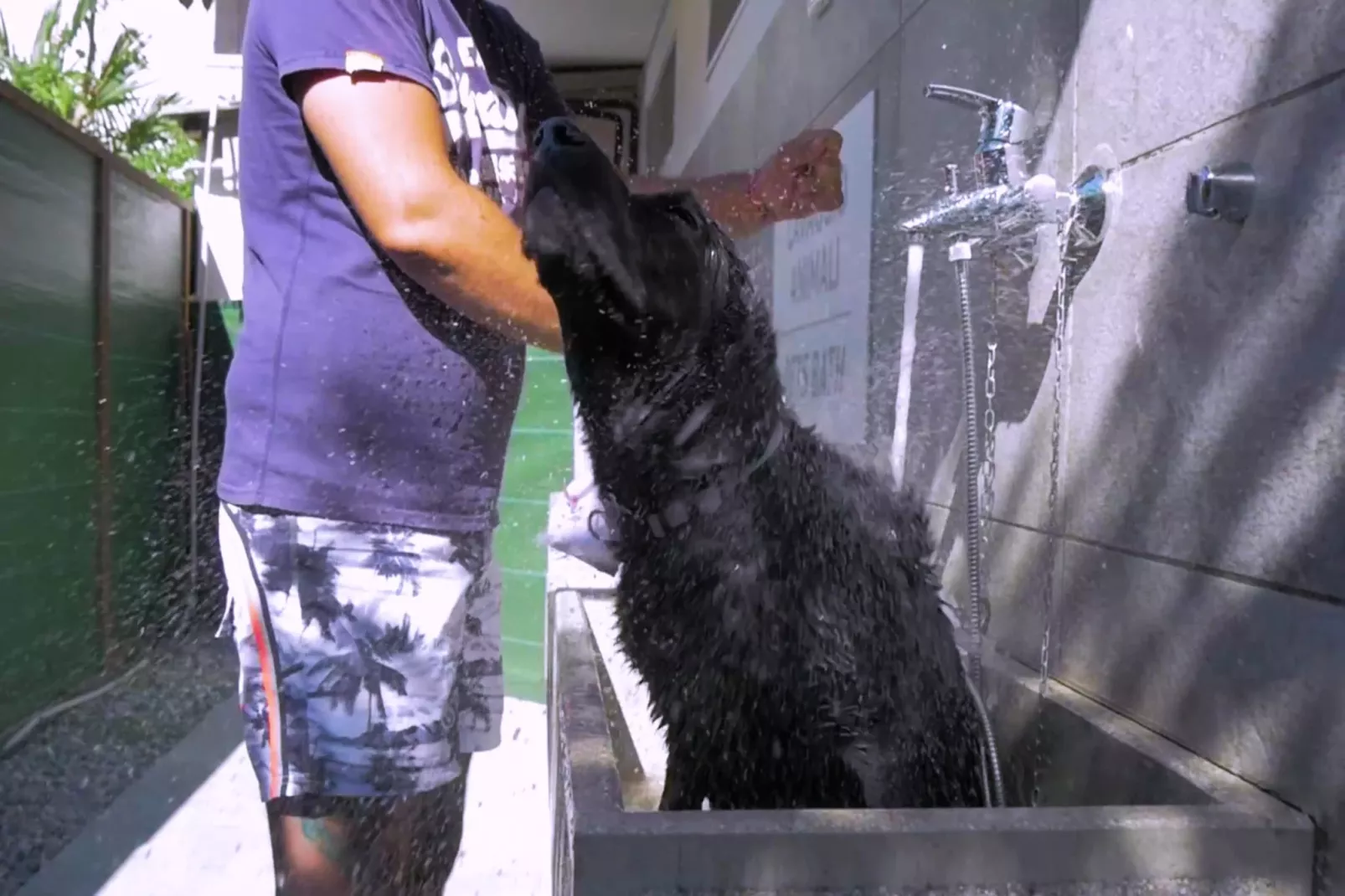 Caravanpark San Benedetto Camping Relais Peschiera / MH Borgo-Gebieden zomer 1km