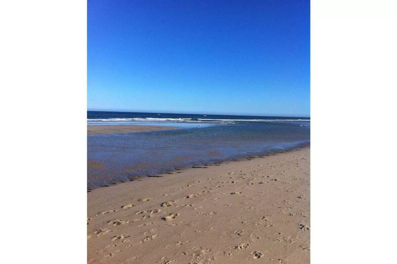 145755-Gebieden zomer 5km