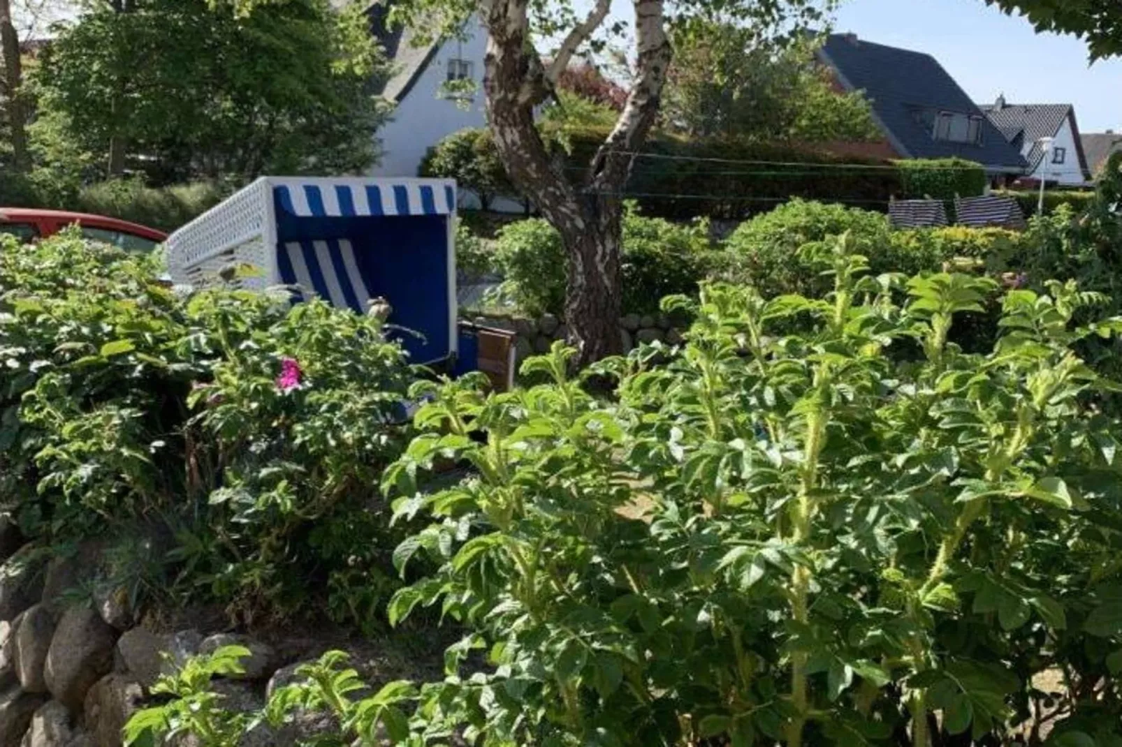 298006 - Buitenkant zomer