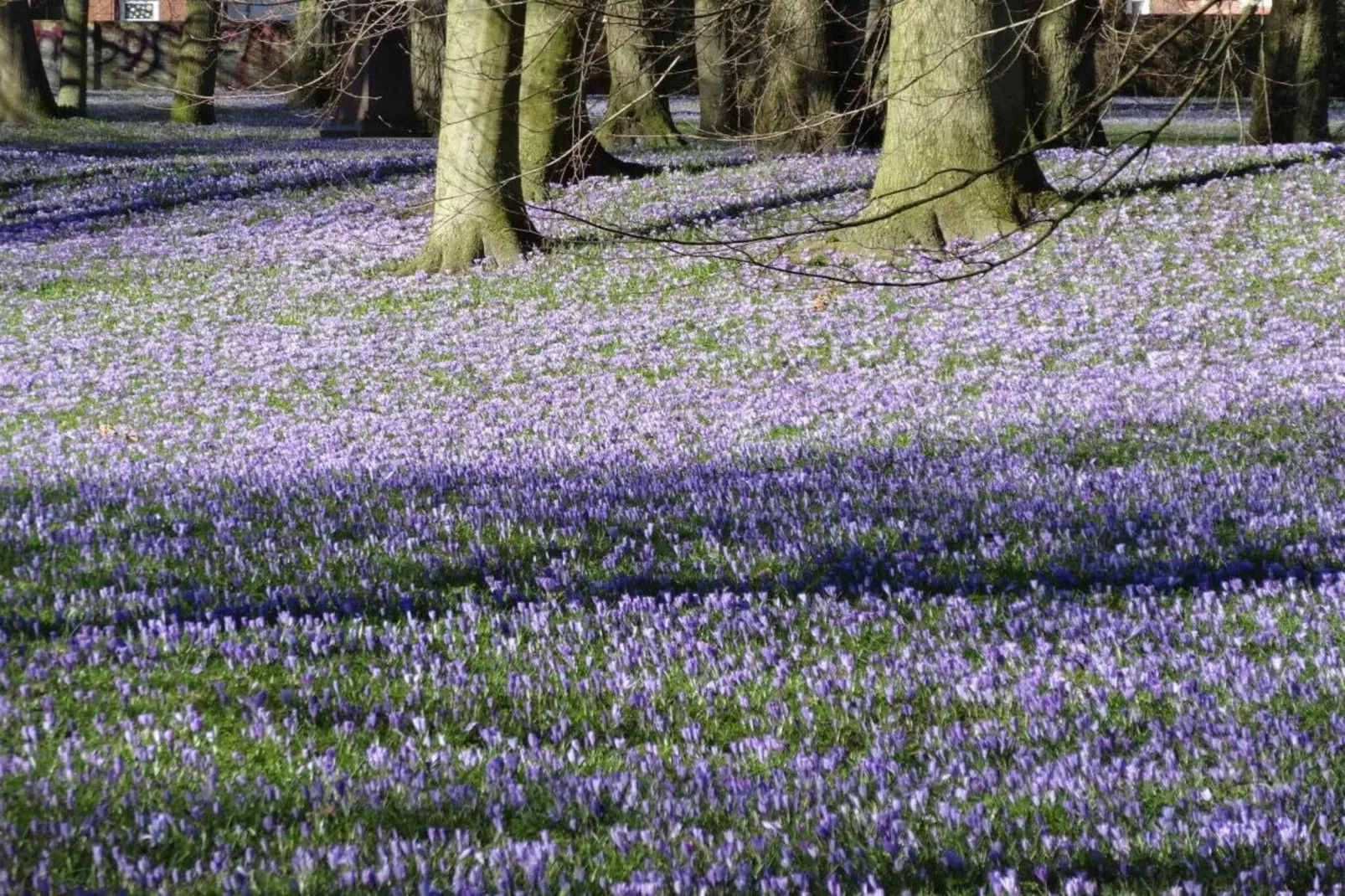 81405-Gebieden zomer 5km